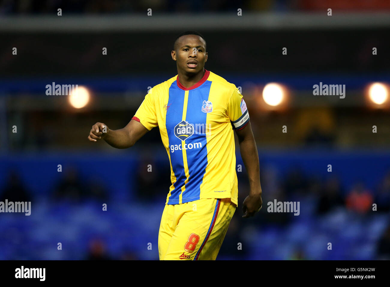 Fußball - Npower Football League Championship - Birmingham City V Crystal Palace - St. Andrews Stockfoto