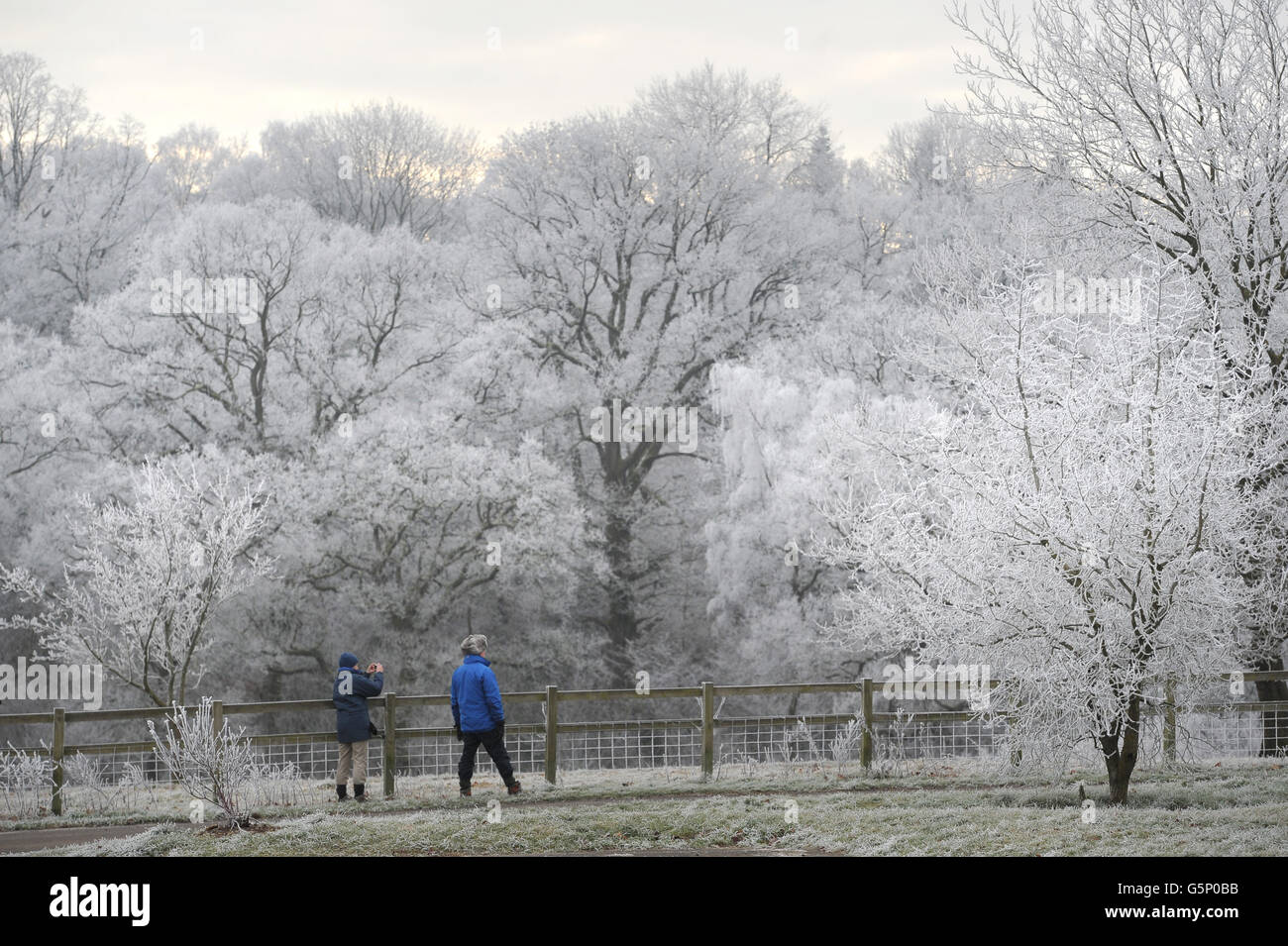 Die Menschen betrachten die Bäume im Westonburt Arboretum in Gloucestershire, da kalte Temperaturen zu Frost führen. Stockfoto