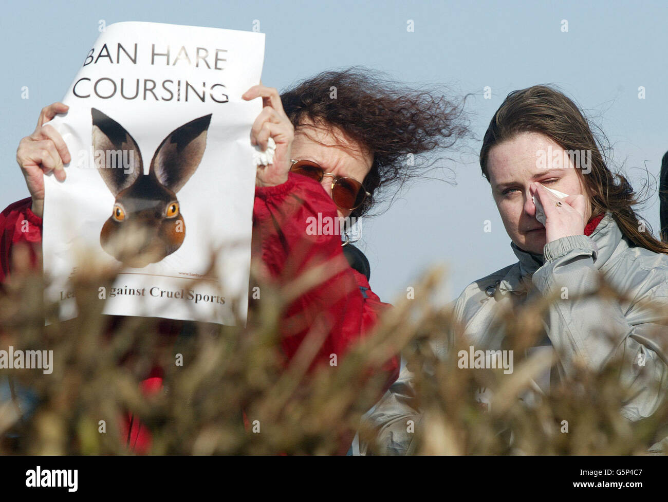 Tierrechtler beim Hare Coursing, Waterloo Cup in Altcar, Merseyside. Eine Demonstration der Liga gegen den grausamen Sport gegen die dreitägige Veranstaltung, die auf Lord Leverhulme Altcar Estate, Merseyside, stattfindet. * die Organisatoren des Waterloo Cup, bekannt als Blue Riband des Hasen-Coursing-Kalenders, behaupten, dass der Sport immer beliebter wird, da der Einsatz voraussichtlich bis zu 10,000 Zuschauer anziehen wird. Stockfoto