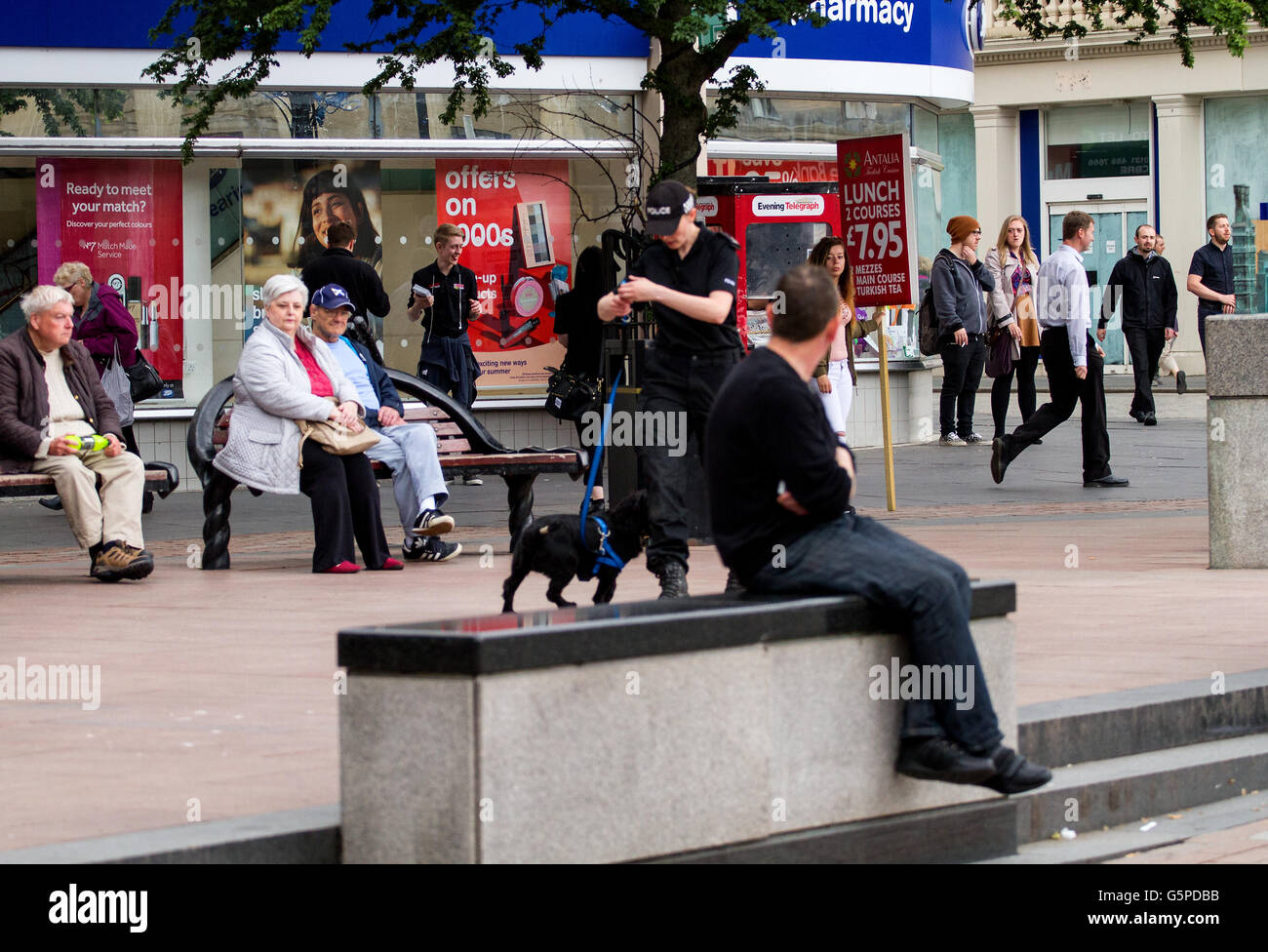 Dundee, Tayside, Scotland, UK. 22. Juni 2016. Eine Polizei Schottland Polizistin Ausbildung ein Spürhund in Dundee Stadtzentrum als Teil von The Crime Stoppers UK und Keep Britain Safe-Richtlinie. Bildnachweis: Dundee Photographics / Alamy Live News Stockfoto