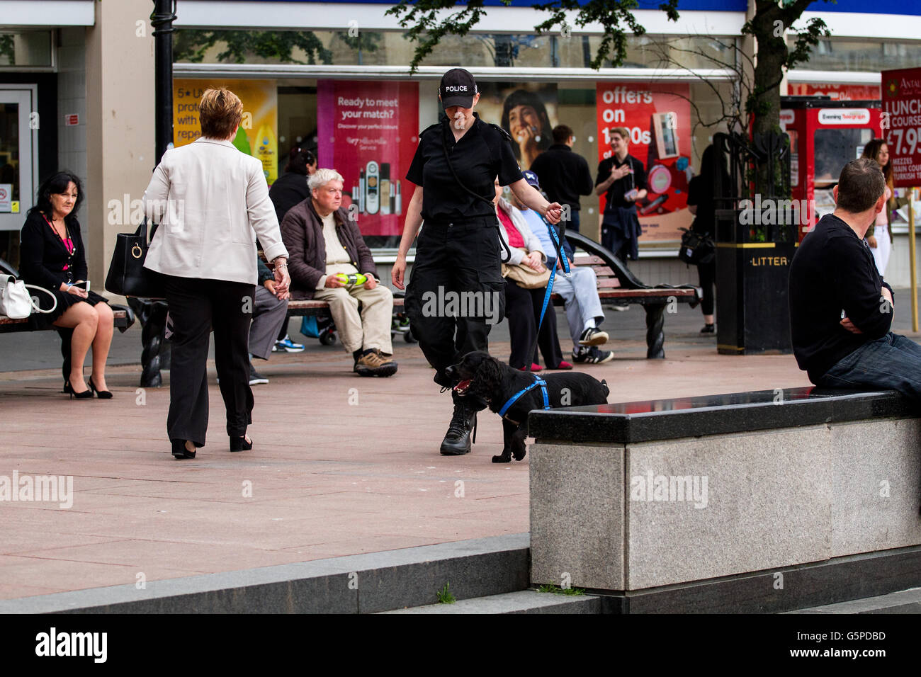 Dundee, Tayside, Scotland, UK. 22. Juni 2016. Eine Polizei Schottland Polizistin Ausbildung ein Spürhund in Dundee Stadtzentrum als Teil von The Crime Stoppers UK und Keep Britain Safe-Richtlinie. Bildnachweis: Dundee Photographics / Alamy Live News Stockfoto