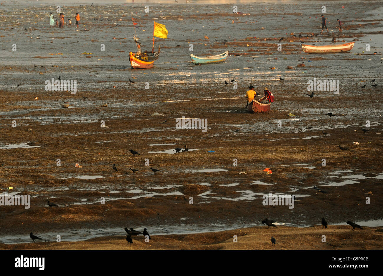 India Travel-Lager. Bei Ebbe sitzen Einheimische in Booten am Chowpatty Beach in Mumbai, Indien Stockfoto