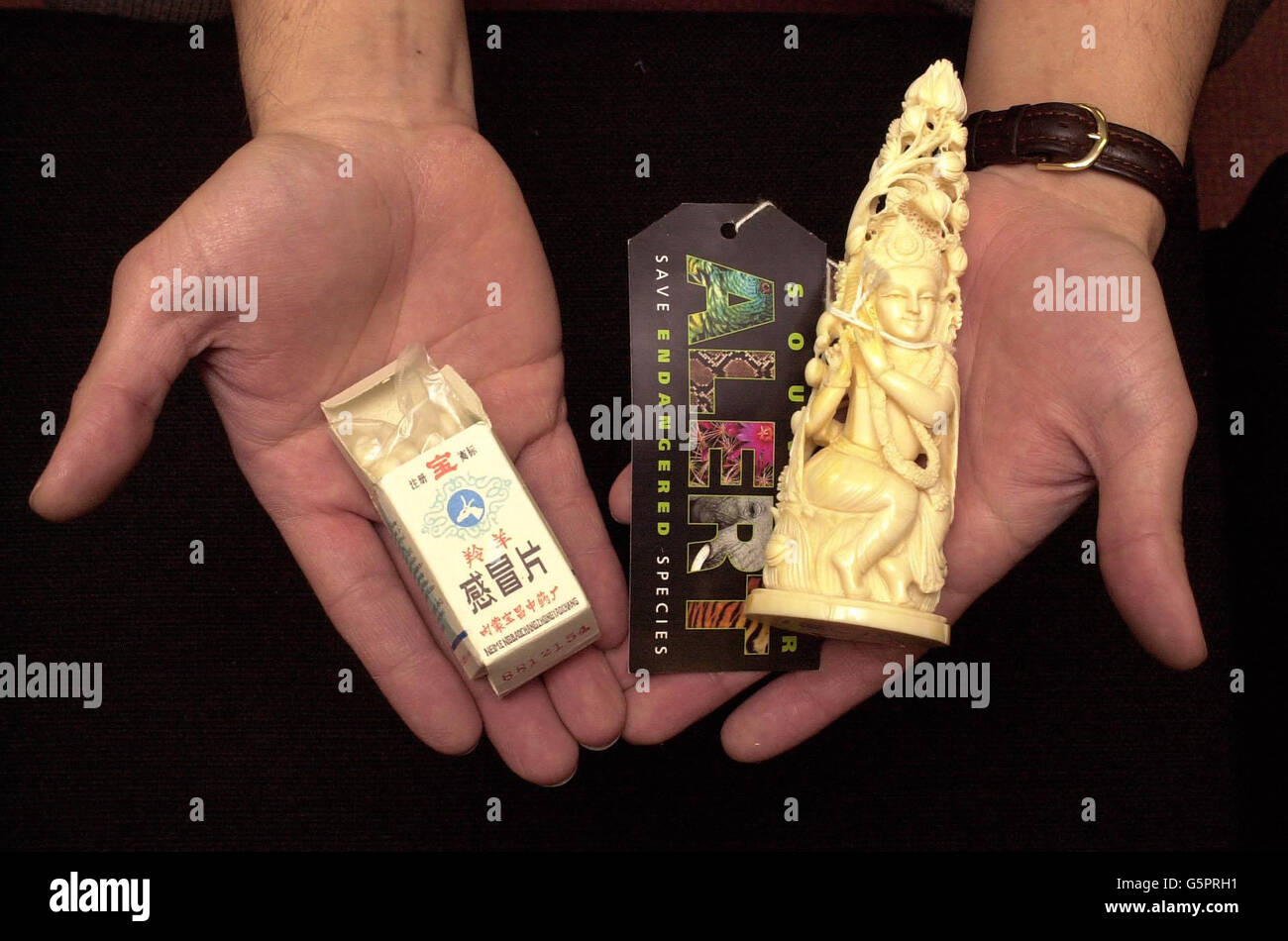 Traditionelle chinesische Medikamente, die Tigerknochen, Nashorn oder Bärengalle enthalten, und ein Hindu-gott aus Elfenbein sind zwei Beispiele für zahlreiche illegal ins Land geschmuggelte Gegenstände. Der World Wildlife Fund for Nature fördert auf der Holiday Show, National Exibition Centre, Birmingham, eine Awarness-Kampagne *, um die Gesetze gegen den Import und Handel mit Tierarten zu ändern. Stockfoto