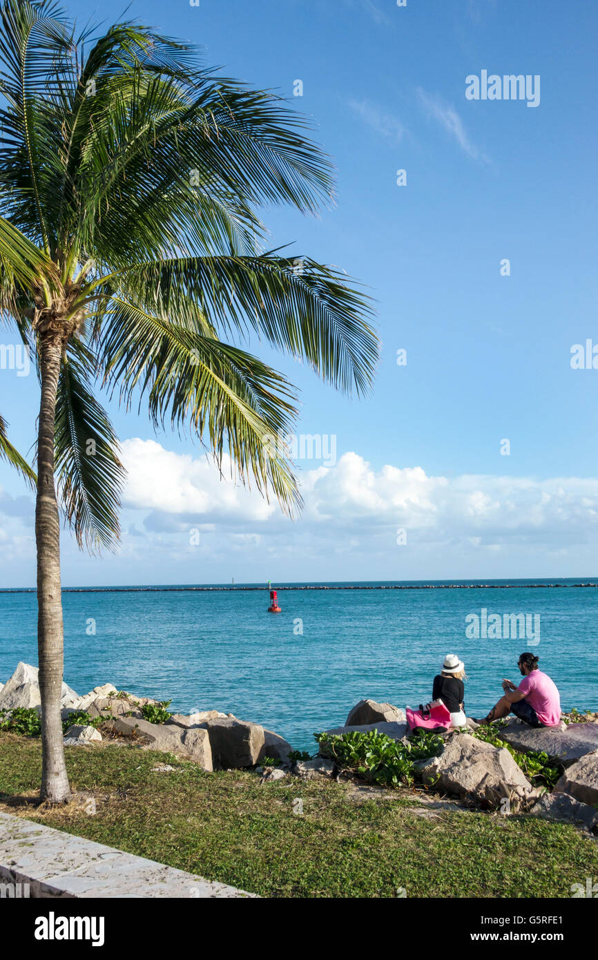 Miami Beach Florida, South Pointe Park, Government Cut, Biscayne Bay Water Atlantischer Ozean Wasser, Palmen, Erwachsene, Erwachsene, Männer, Männer, Frauen, FEM Stockfoto