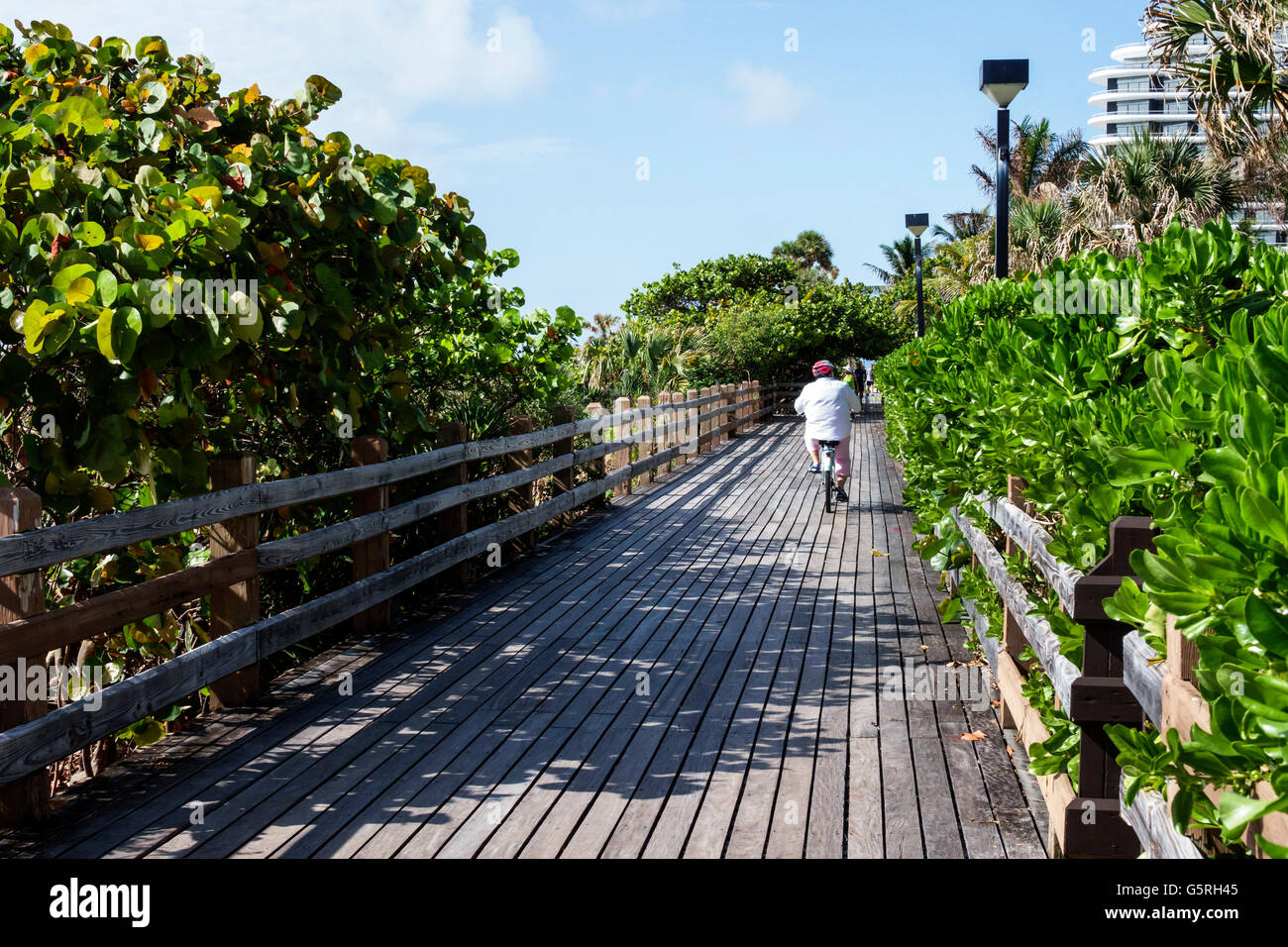 Miami Beach Florida, Promenade, Natur, Besucher reisen Reise touristischer Tourismus Wahrzeichen Kultur Kultur, Urlaub Gruppe Menschen Person s Stockfoto