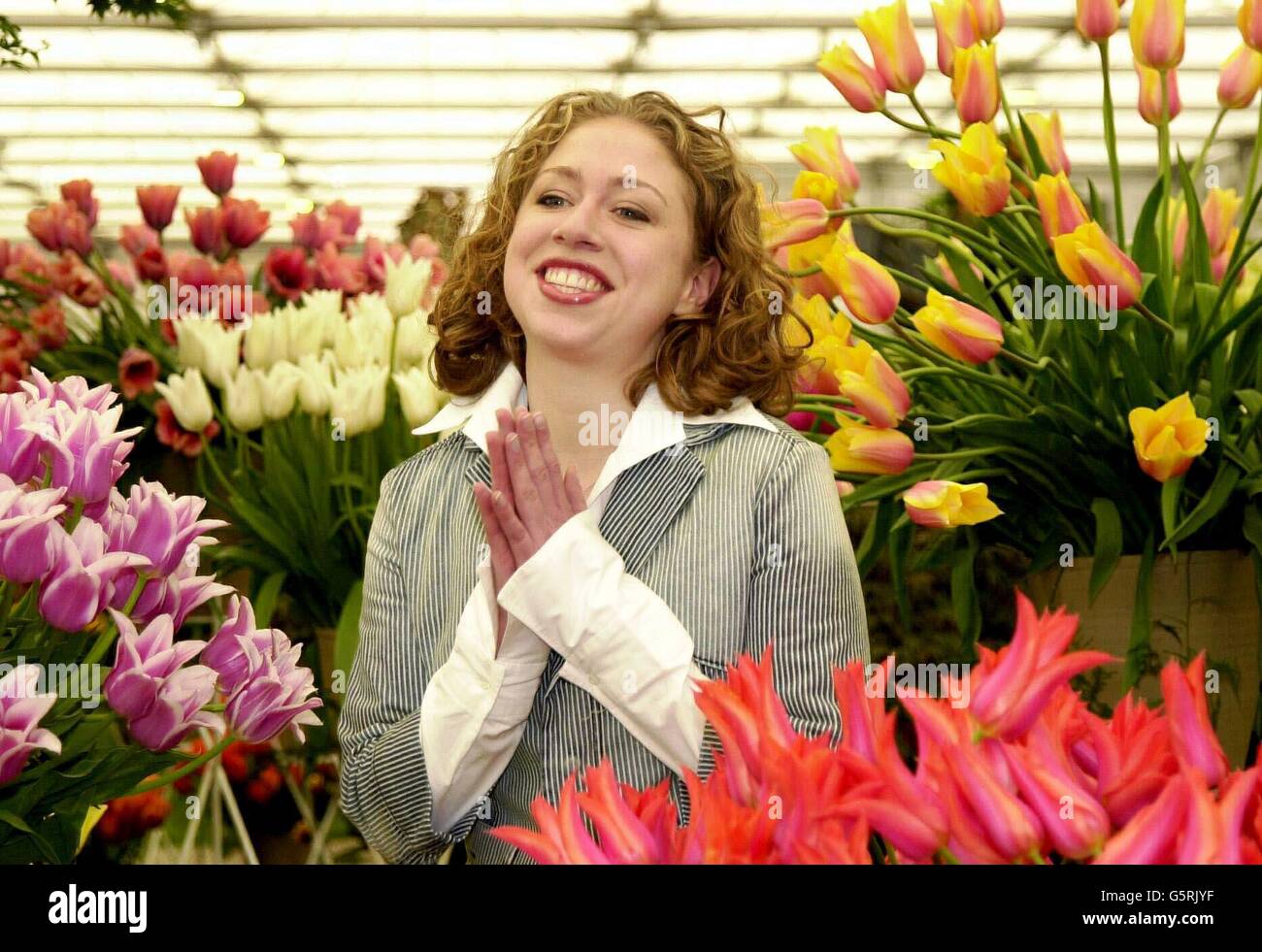 Chelsea Clinton gehört zu ihren Lieblingsblumen Tulpen, während der Chelsea Flower Show in London. Stockfoto