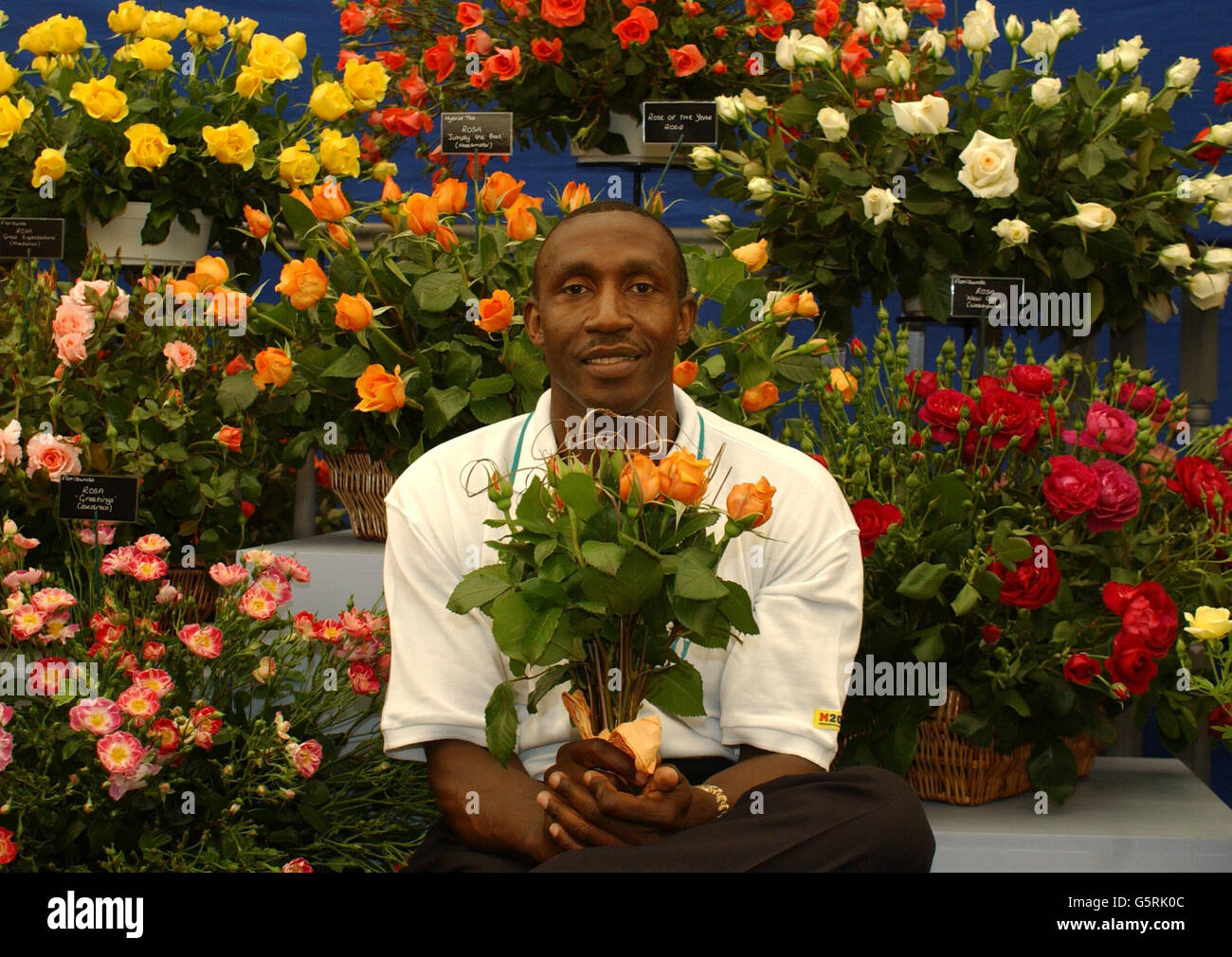 Linford Christie mit der Rose of the Year, 'Simply the Best', gezüchtet von Roses UK, auf der Chelsea Flower Show in London. Es wurde als die Blume der Commonwealth Games in Manchester gewählt. Stockfoto
