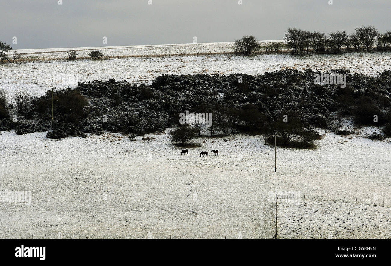 Schnee auf dem Hochboden der Yorkshire Wolds auf den Weiden von Millington in der Nähe von Pocklington bringt einen Vorgeschmack auf das Winterwetter und den Schnee, der voraussichtlich in den kommenden Tagen auf einige Gebiete Großbritanniens einwirken wird. Stockfoto