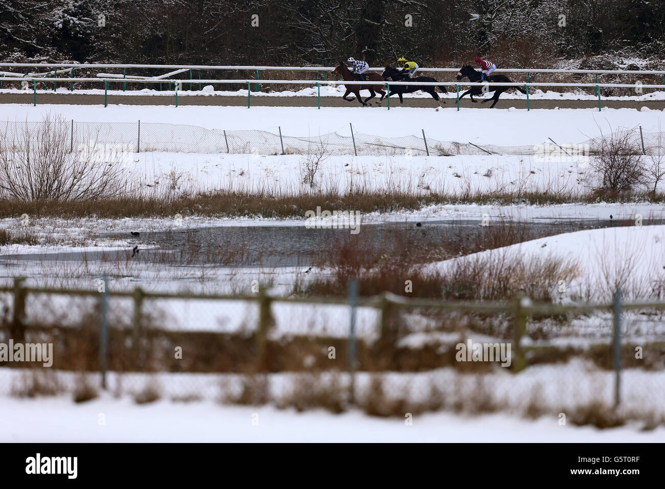 Pferde Rennen in den winterlichen Bedingungen im Handicap coral.co.uk Einsätze Stockfoto