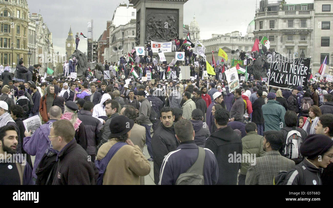 Ein Blick auf den Trafalgar Square im Zentrum von London, als Tausende britischer Muslime auf dem Platz eine Demonstration aus Protest gegen die israelische Aktion gegen Palästinenser im Nahen Osten veranstalteten. Demonstranten rissen und verbrannten diese israelische Flagge, als sie Nelsons Säule hochkletterten. * Trotz der Appelle der Organisatoren, der Muslimischen Vereinigung von Großbritannien, Ordnung zu bewahren, rammten sich Dutzende von Menschen in die Mitte des Platzes und riefen 'mit Israel' und 'Dschihad' - was der muslimische Aufruf zum heiligen Krieg ist. Stockfoto