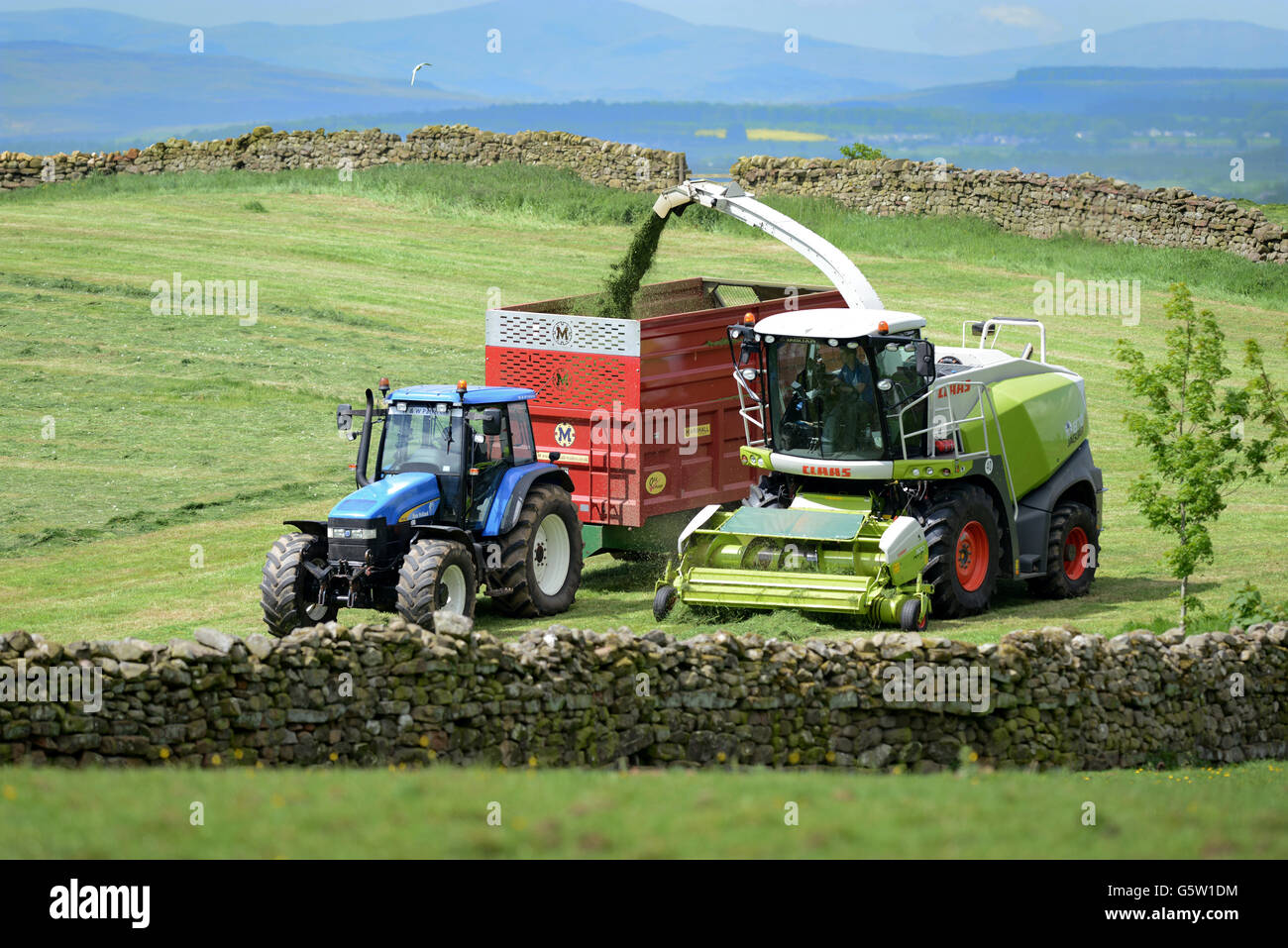 Bauern Rasen schneiden für Silage in Brampton, Cumbria, England. Stockfoto