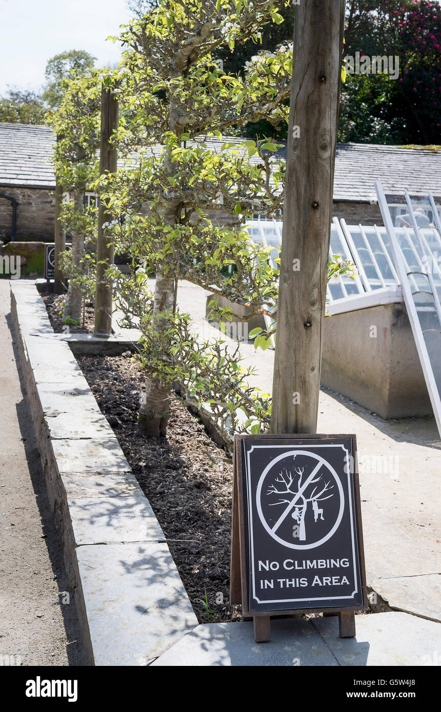 Höfliche Warnung, besuchen Kinder davon abzuhalten versucht, Training Rahmen für Obstbäume in Heligan Gärten Cornwall Klettern Stockfoto