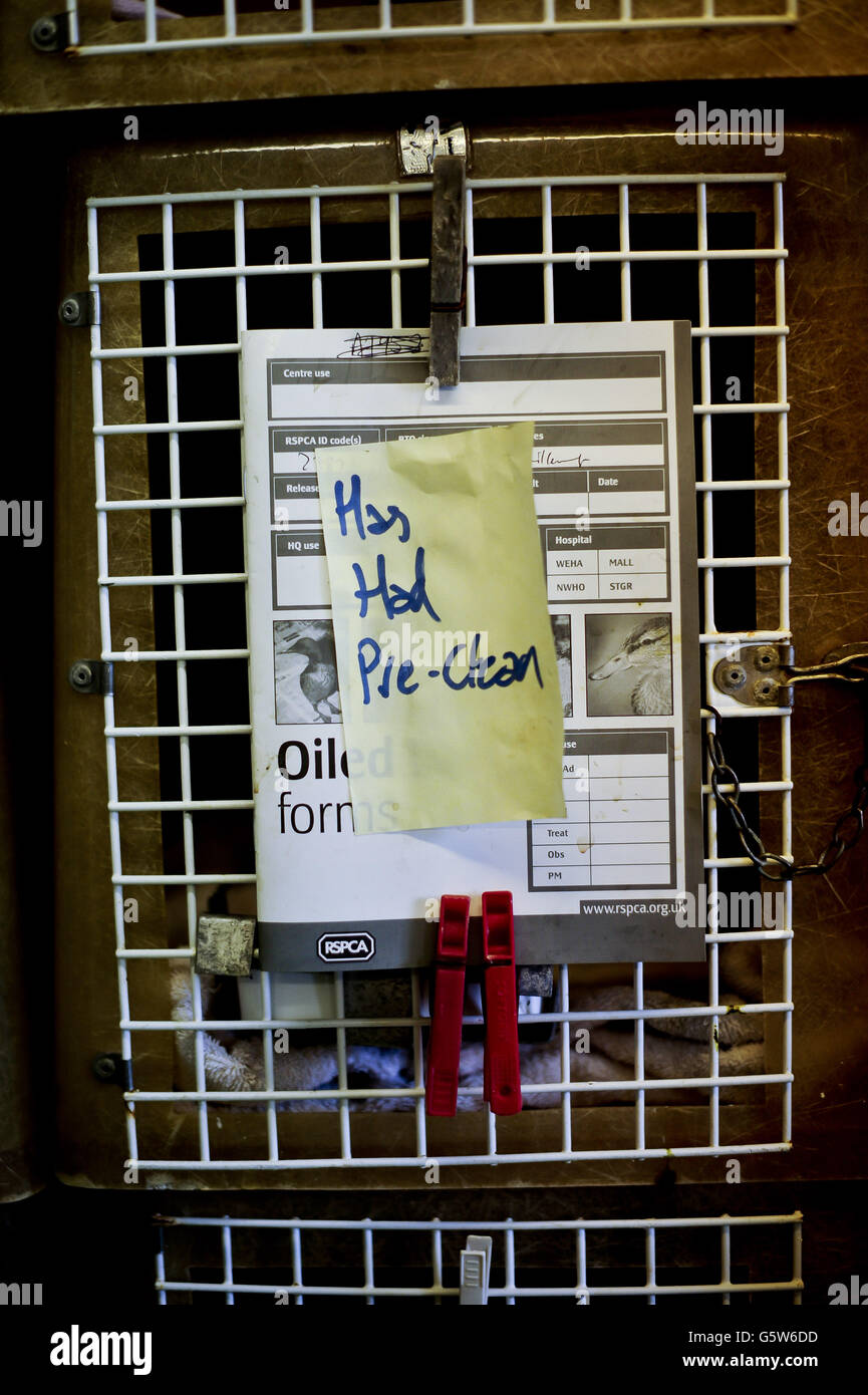 Eine Notiz an eine RSPCA geölte Vogelform, die an der Vorderseite des Käfigs im RSPCA West Hatch Animal Center & Wildlife Center im Somerset Dorf West Hatch, in der Nähe von Taunton, befestigt ist. Stockfoto