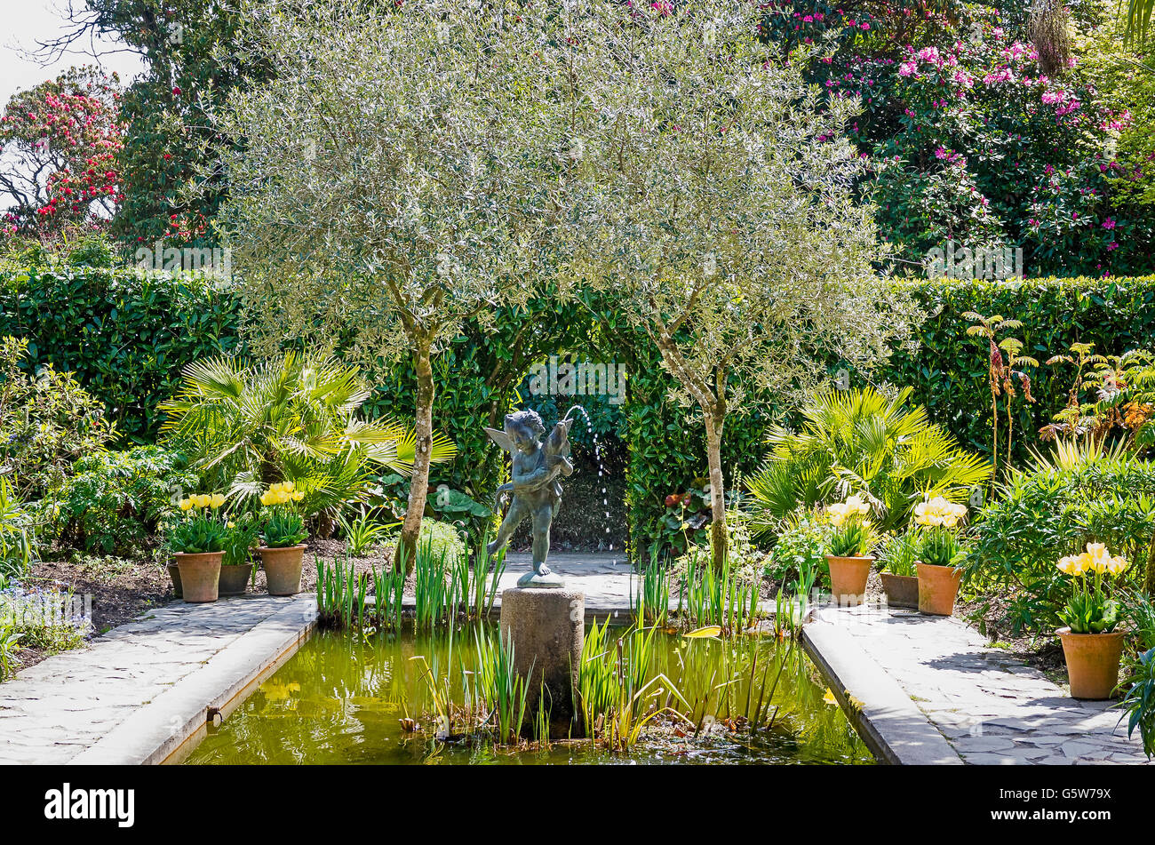 Brunnen und pool im italienischen Garten gewidmet John Nelson einen Pionieren Restaurator die Gärten von HELIGAN in Cornwall UK Stockfoto