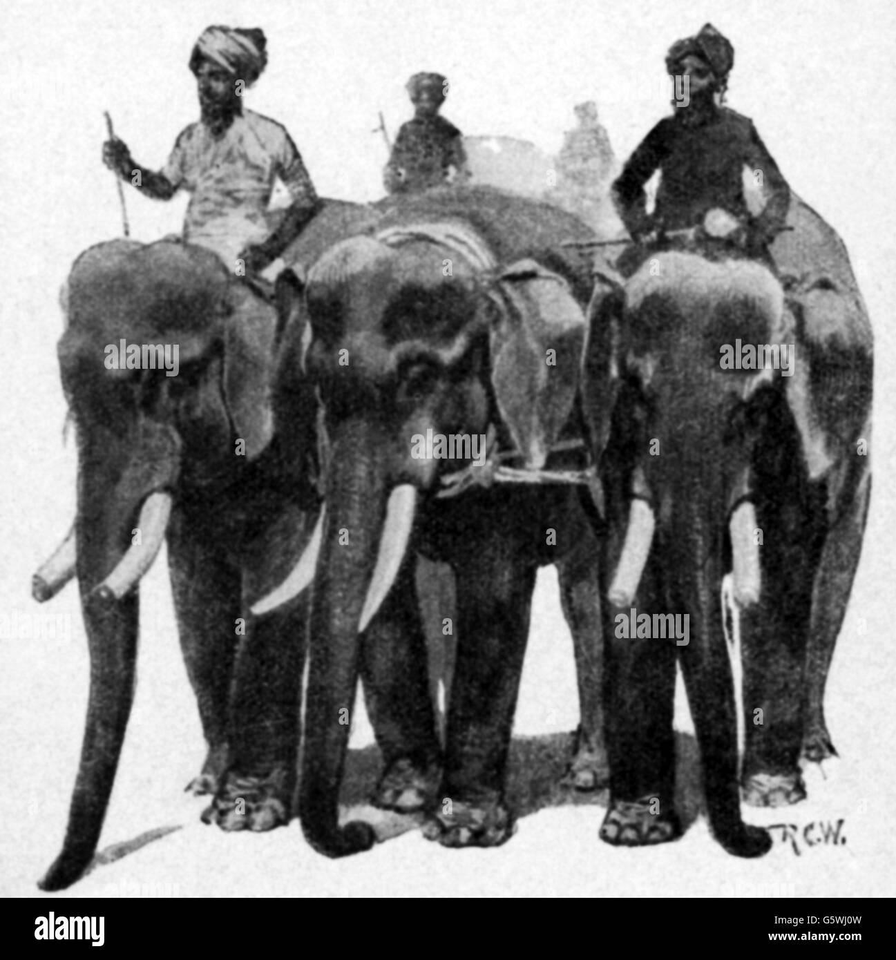 zoologie / Tiere, Elefant, Indischer Elefant (Elephas maximus indicus), für die Arbeit in Indien ausgebildete Elefanten, Holzstich, 'Harper's Weekly', 1892, zusätzliche-Rights-Clearences-not available Stockfoto