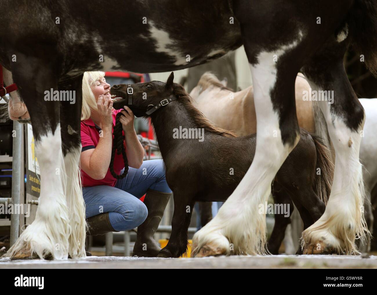 Laura Butters mit ihrem Mini Shetland Pony Little Roo der fangen Pfütze wird gewaschen, vor der Royal Highland Show findet am Ingliston in der Nähe von Edinburgh, die Morgen bis zum 26. Juni beginnt. Stockfoto