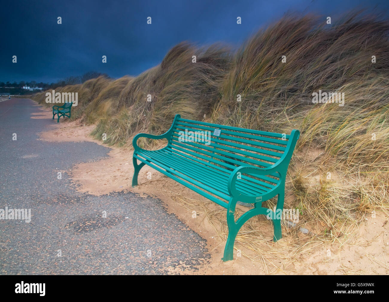 Grünen Sitze in Sanddünen an einem stürmischen Tag. Stockfoto