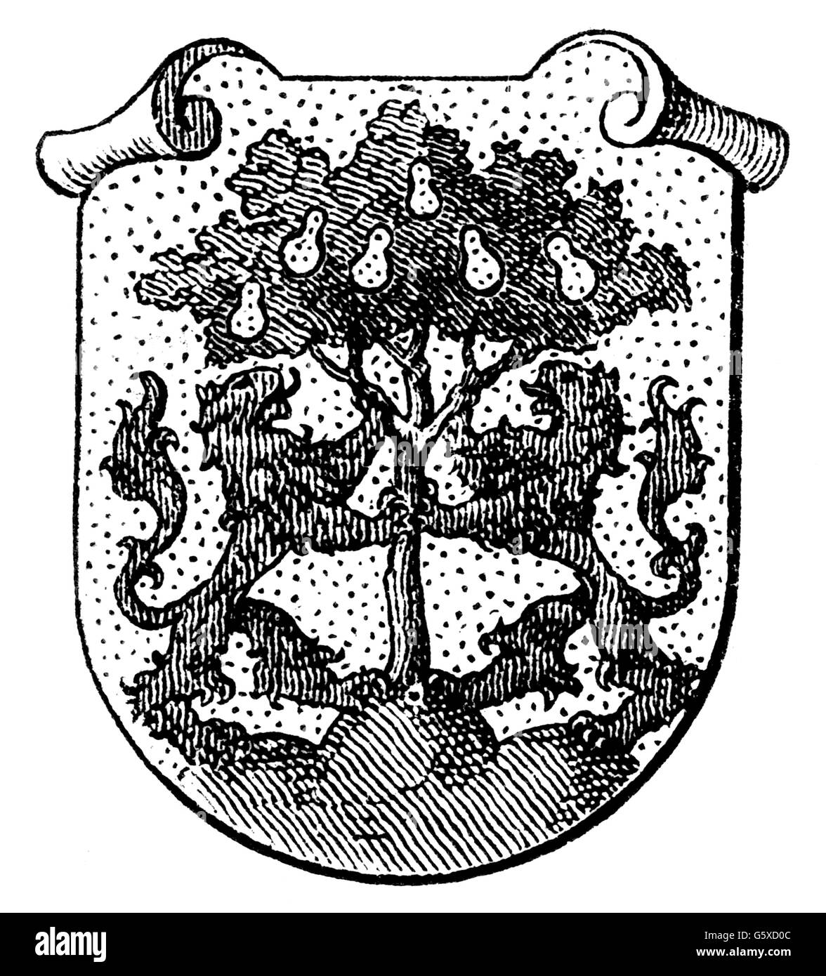 Heraldik, Wappen, Deutschland, Stadtwappen, Pirna, Holzstich, 1893, Zusatz-Rechte-Clearenzen-nicht vorhanden Stockfoto