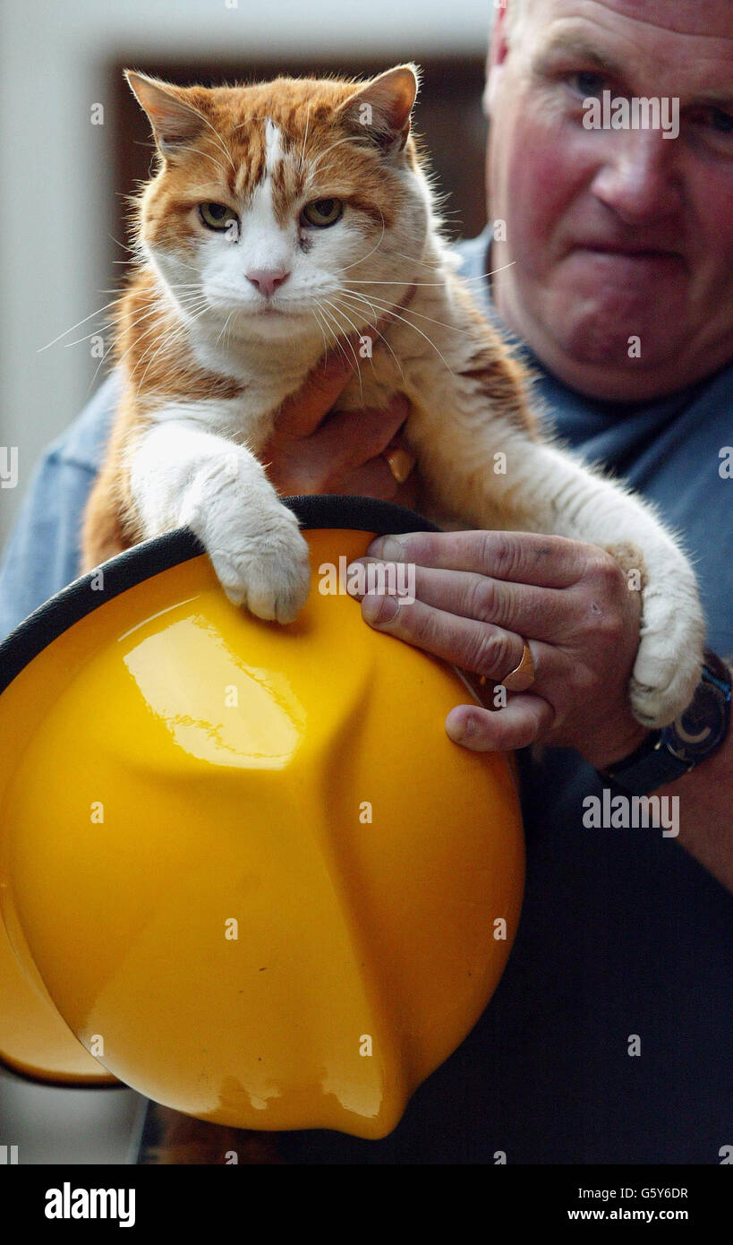 Feuerwehrmann Pete Dowling mit Station Katze Angus Stockfoto