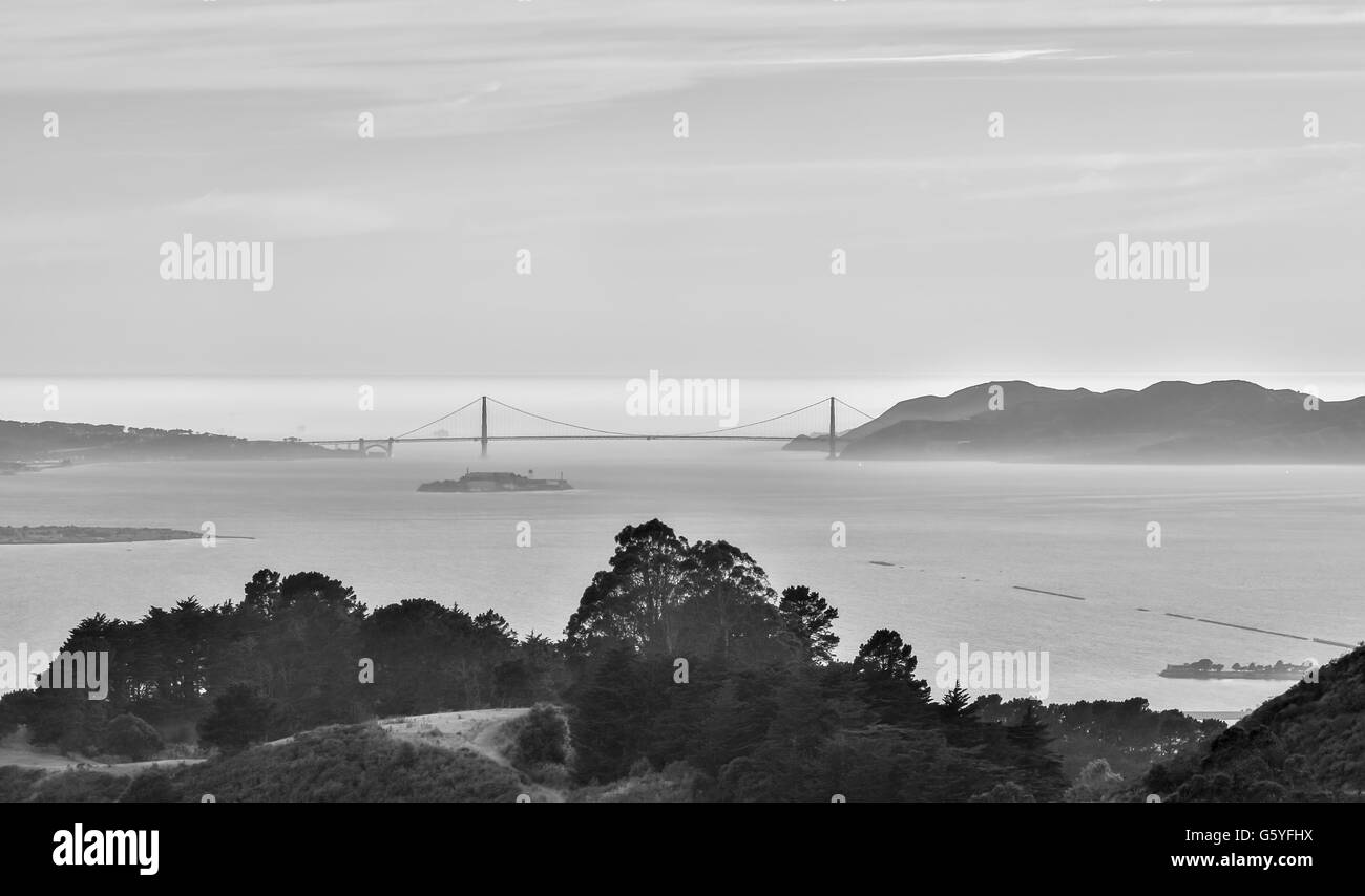 Die Golden Gate Bridge von San Francisco aus Berkeley Hills Stockfoto