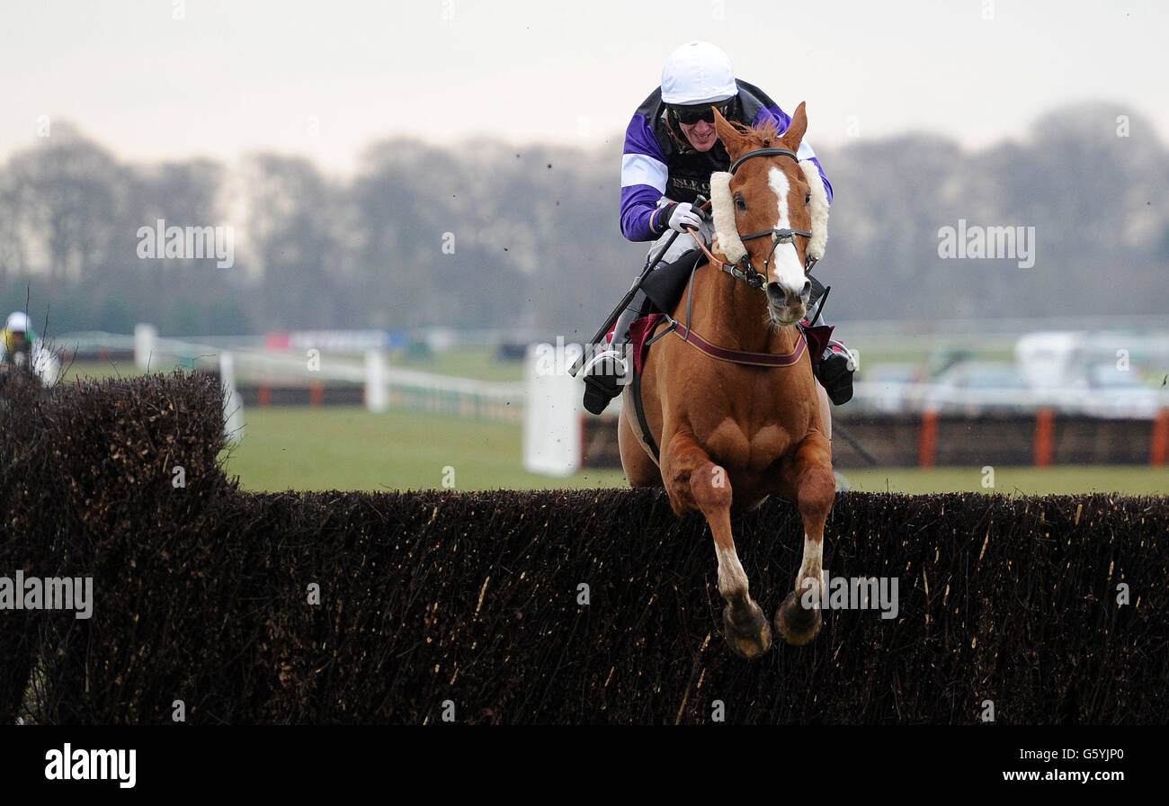 Eyre wird offensichtlich von Tony McCoy geritten und springt den letzten Zaun, um die Novices & Acute des Eagle Vauxhall Road Club zu gewinnen; Handicap Chase, während des Molson Coors Raceday auf der Haydock Park Racecourse, Newton-le-Willows. Stockfoto