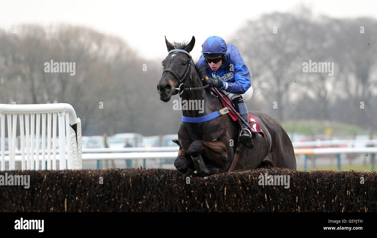 Pferderennen Sie - Molson Coors Raceday - Haydock Park Rennbahn Stockfoto