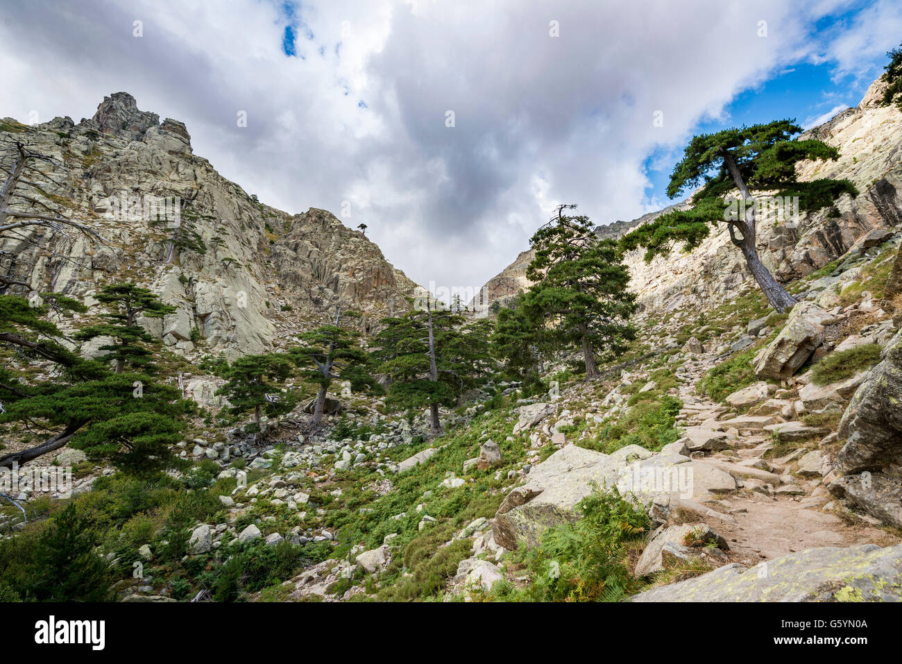 Berglandschaft in Golo Tal, Natur Naturpark von Korsika, Parc Naturel Régional de Corse, Korsika, Frankreich Stockfoto