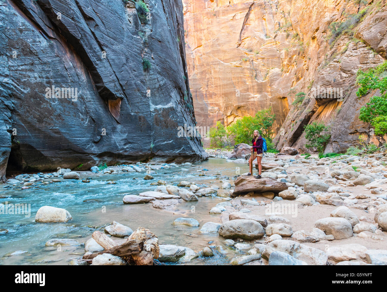 Wanderer auf einem Felsen neben einem Fluss, Zion Narrows, schmale des Virgin River, Steilwände des Zion Canyon Stockfoto