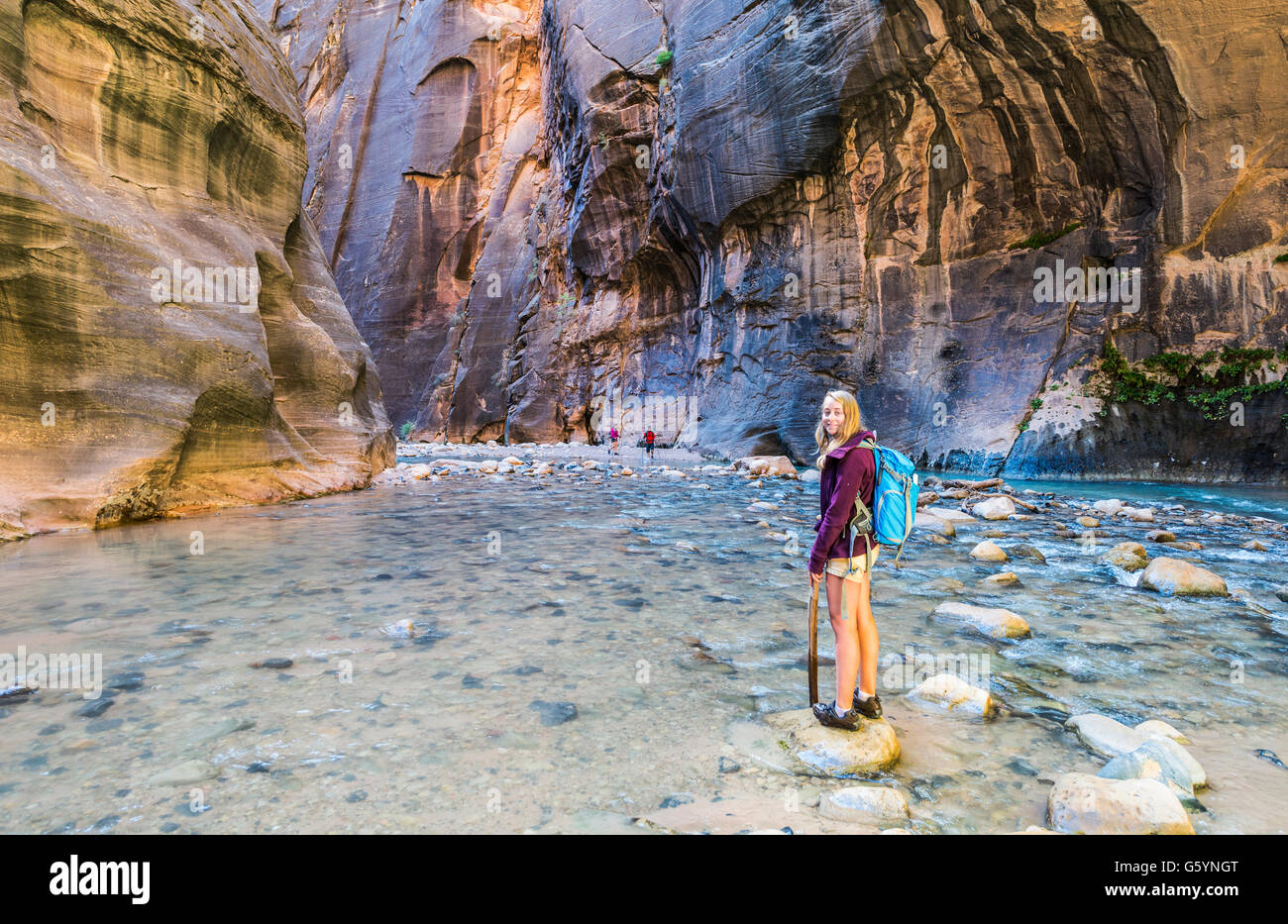 Wanderer im Fluss, Zion Narrows stehen schmale des Virgin River, Steilwände des Zion Canyon, Zion Nationalpark, Utah, USA Stockfoto