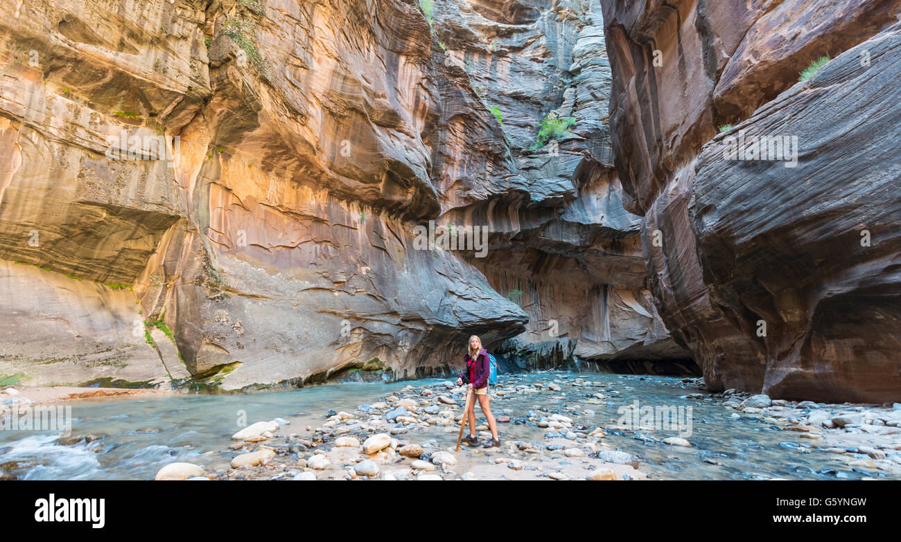 Wanderer zu Fuß durch den Fluss, Zion Narrows, schmale des Virgin River, Steilwände des Zion Canyon, Zion Nationalpark, Utah, USA Stockfoto