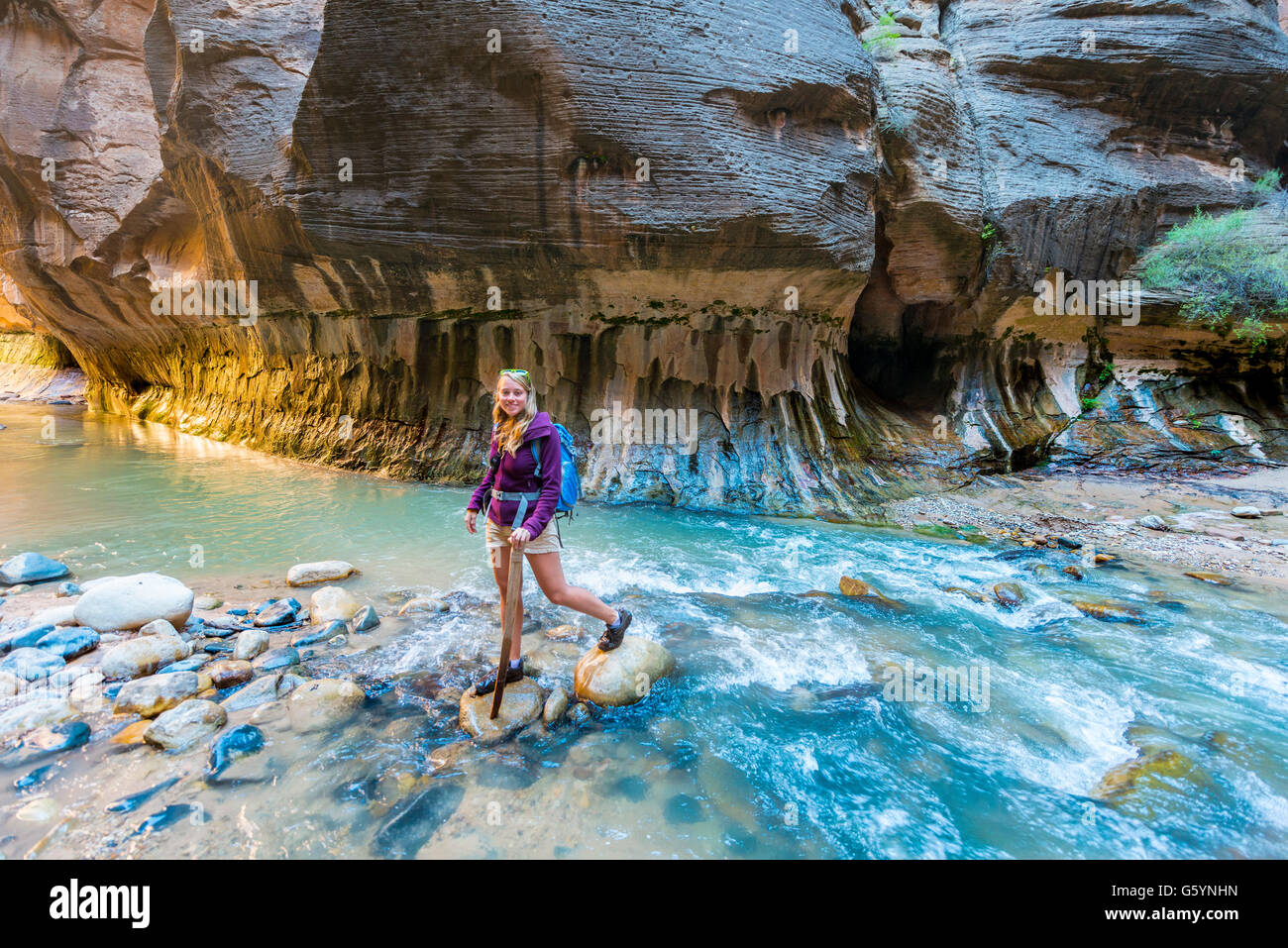 Wanderer-Kreuzung-Fluss über Felsen, Zion Narrows, schmale des Virgin River, Steilwände des Zion Canyon, Zion Nationalpark, Utah Stockfoto