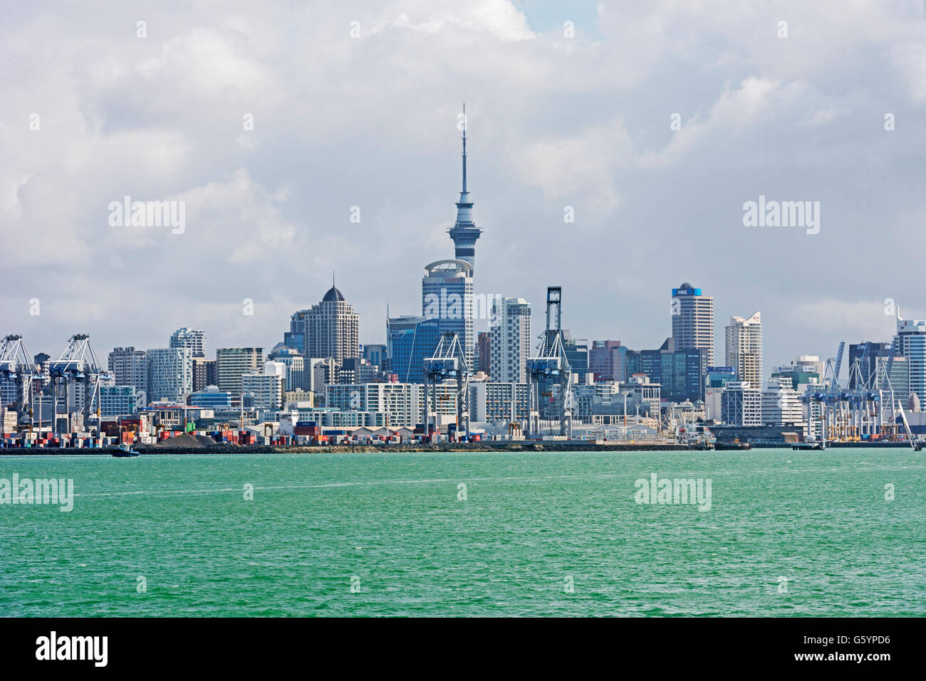 Mit skyscrappers Skyline und Sky Tower, Auckland, Nordinsel, Neuseeland Stockfoto
