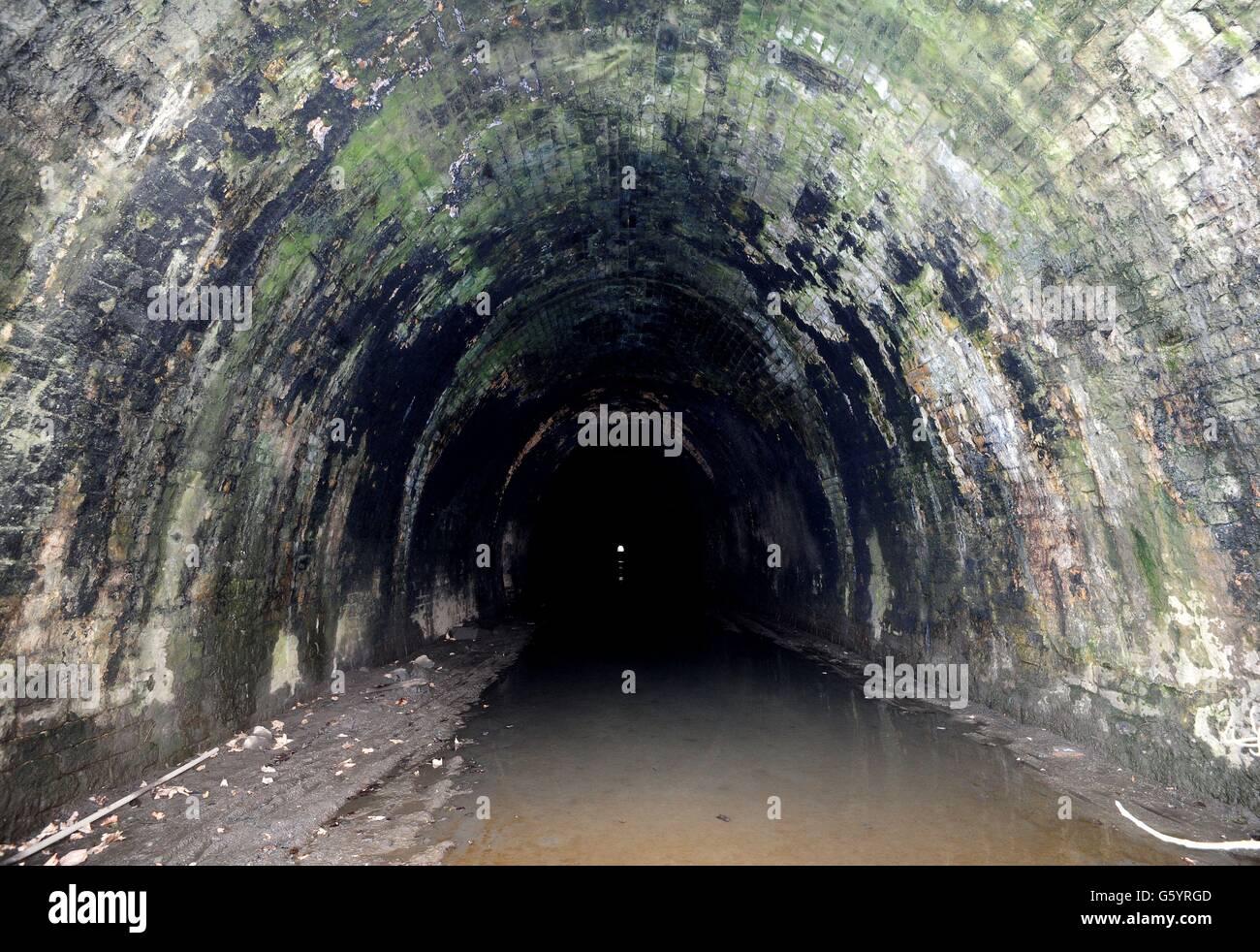 Eine allgemeine Ansicht zeigt den stillstehenden Prospect Tunnel bei Harrogate, der früher Teil der Kirche war Fenton nach Harrogate Linie, einer der ersten unter der Beeching Axt schließen. Stockfoto