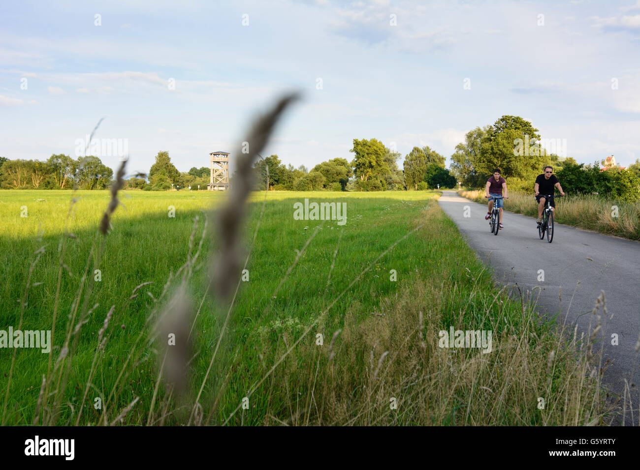 Aussichtsturm im Naturschutzgebiet Regentalaue, Radfahrer, Cham, Deutschland, Bayern, Bayern, Oberpfalz, Oberpfalz Stockfoto