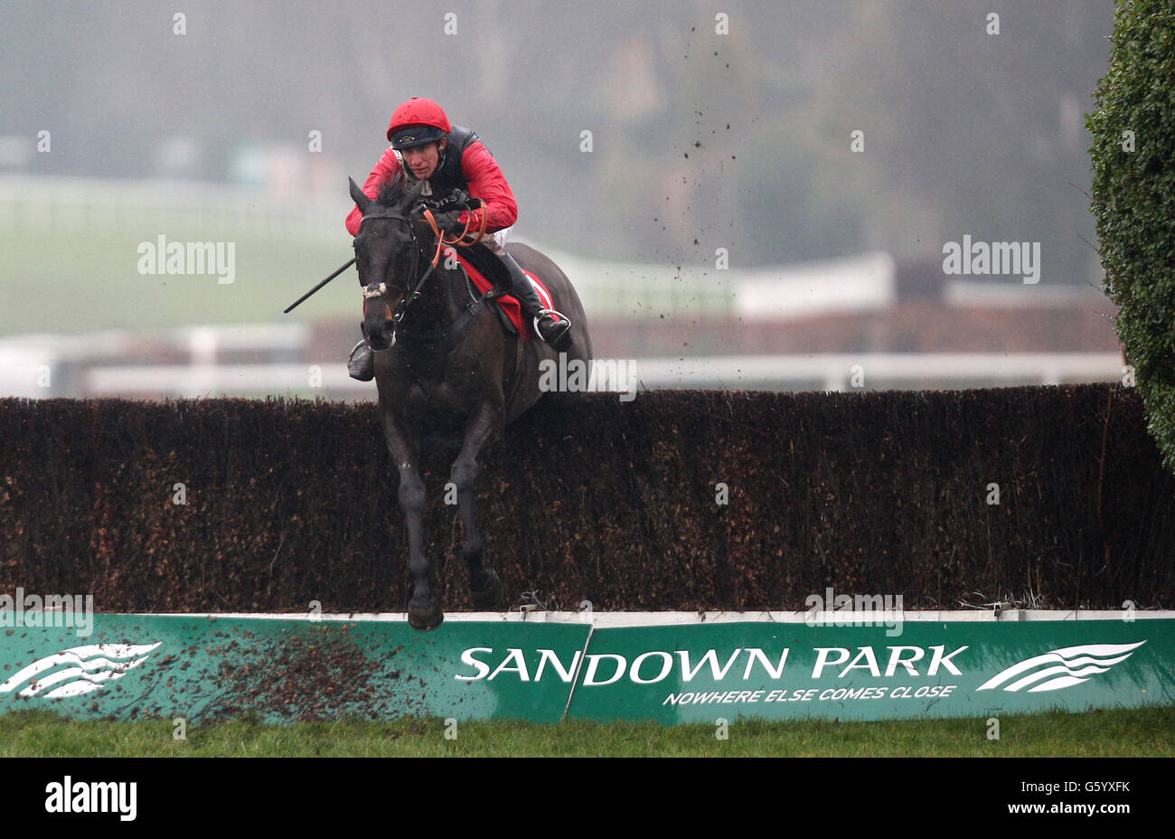 Pferderennen Sie - Grand militärische Gold Cup Day - Sandown Stockfoto