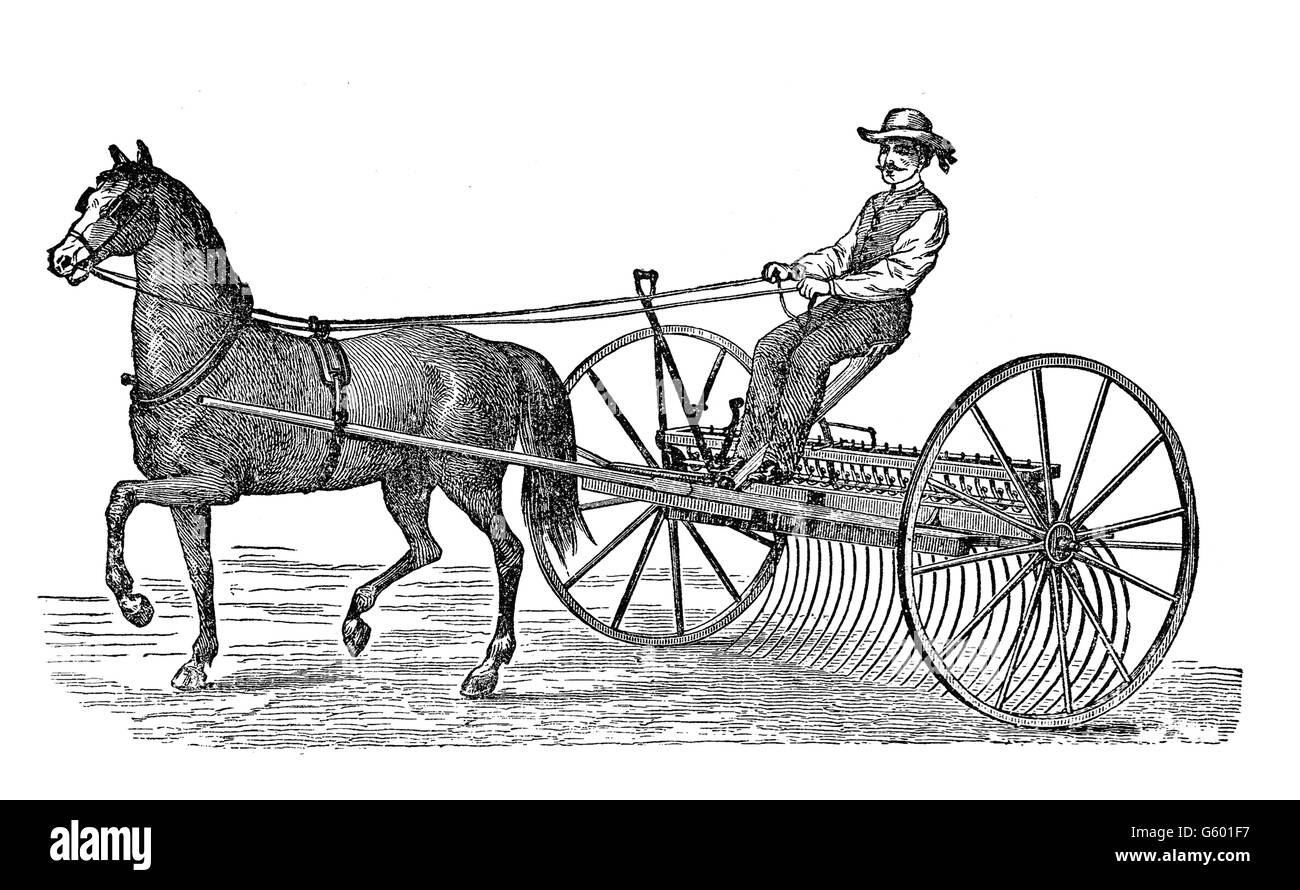 Antike Illustration, Landwirtschaft: Reiten, Kartfahren einen Rechen-Wagen Stockfoto