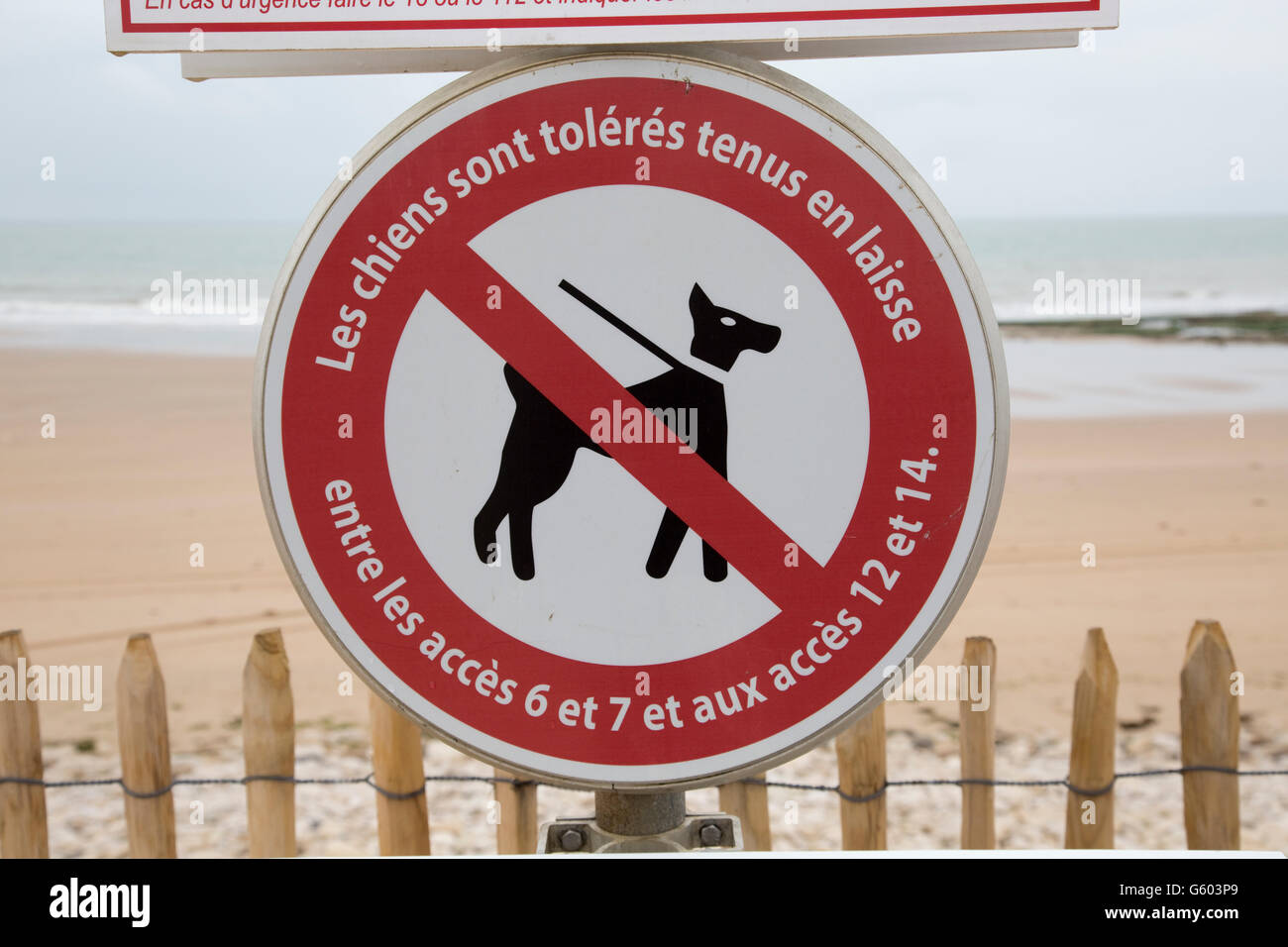 Keine Hunde am Strand außer auf Blei-Schild La Barre-de-Monts-Loire-Frankreich Stockfoto