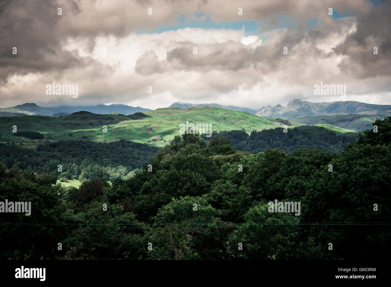 Langdale Hecht aus Wansfell Zander Ambleside Stockfoto