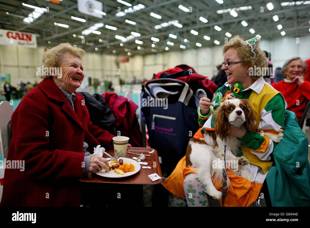 Christine und Margaret Farrell (links) mit der „Shanty“-Gewinnerin der besten Kleidung im National Show Centre in Dublin während der Irish Kennel Club Pet Dog Expo 2013. Stockfoto