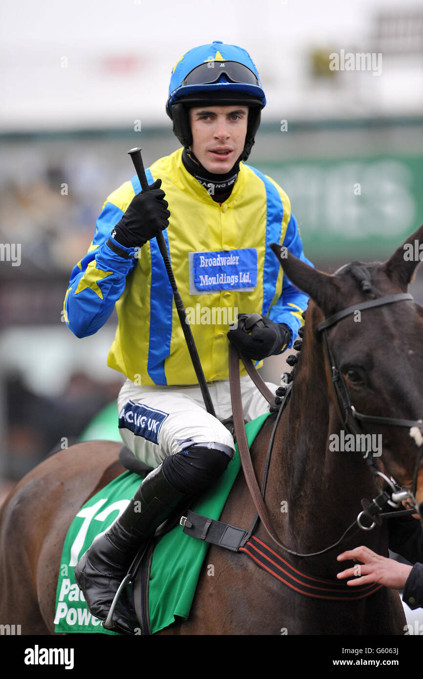 Jockey Aiden Coleman auf Le Reve während der Paddy Power Imperial Cup Tag in Sandown Stockfoto