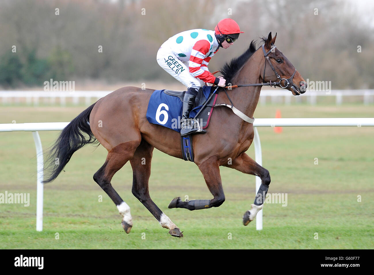 Pferderennen - Huntingdon Racecourse. Chris Pea Green wird von Joshua Moore gefahren, der vor der 32Red Juvenile Hurdle posten wird Stockfoto