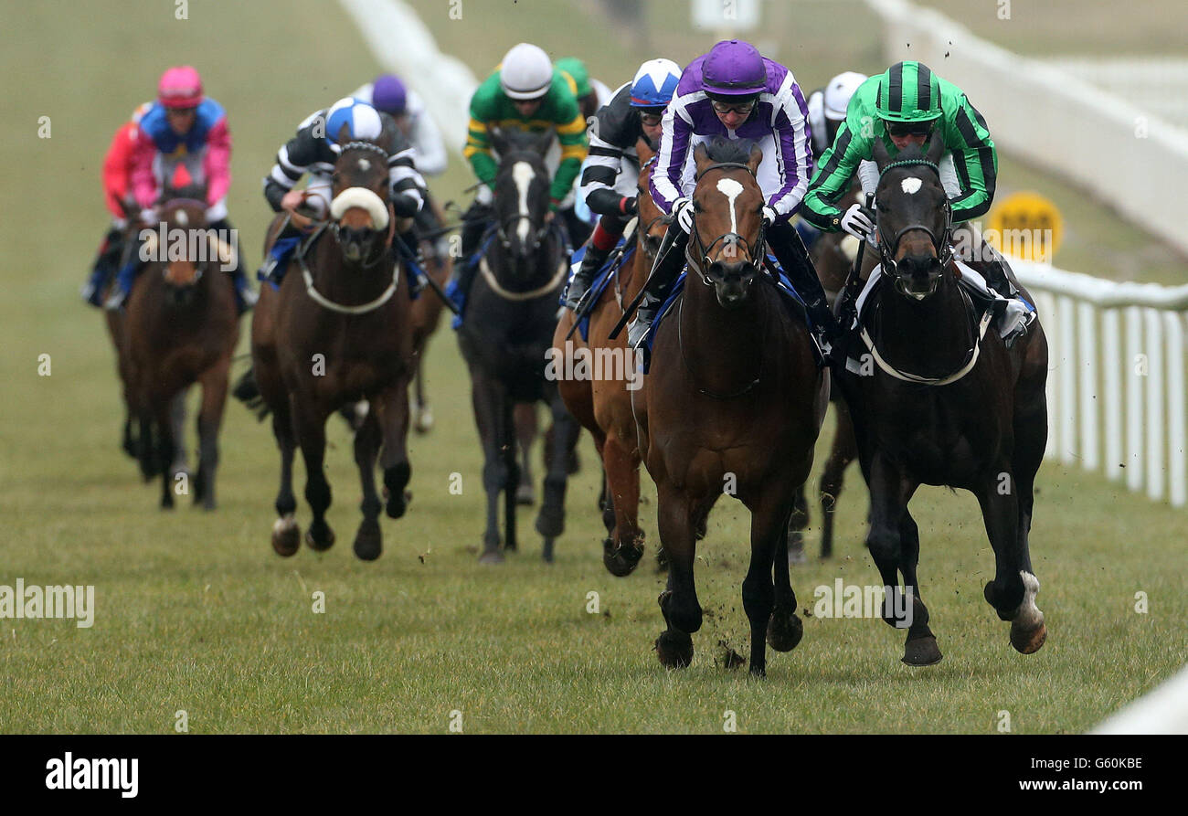 Racing - Lodge Park Stud Park Express Einsätze/Betvictor irischen Lincolnshire Tag - Curragh Rennbahn Stockfoto