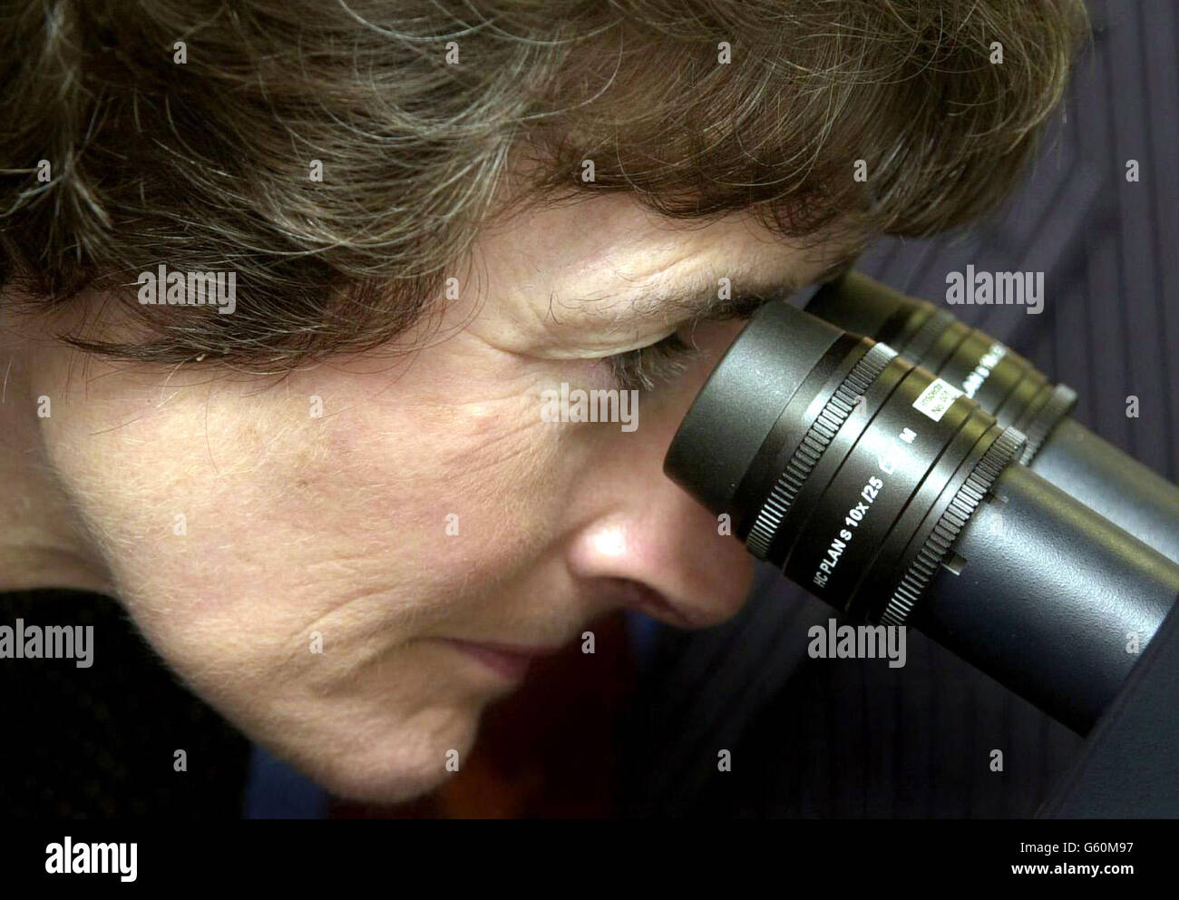 Bildungsministerin Estelle Morris blickt durch das Okular eines Multiphotonenmikroskops am neuen Zentrum für Zell- und Molekulardynamik am University College in London. *gemeinsam mit den Ministerkollegen Paul Boetang und Patricia Hewitt untersuchten sie die Ergebnisse des Government Wellcome Trust Joint Infrastructure Fund, der Teil der Government Science Strategy ist. Stockfoto