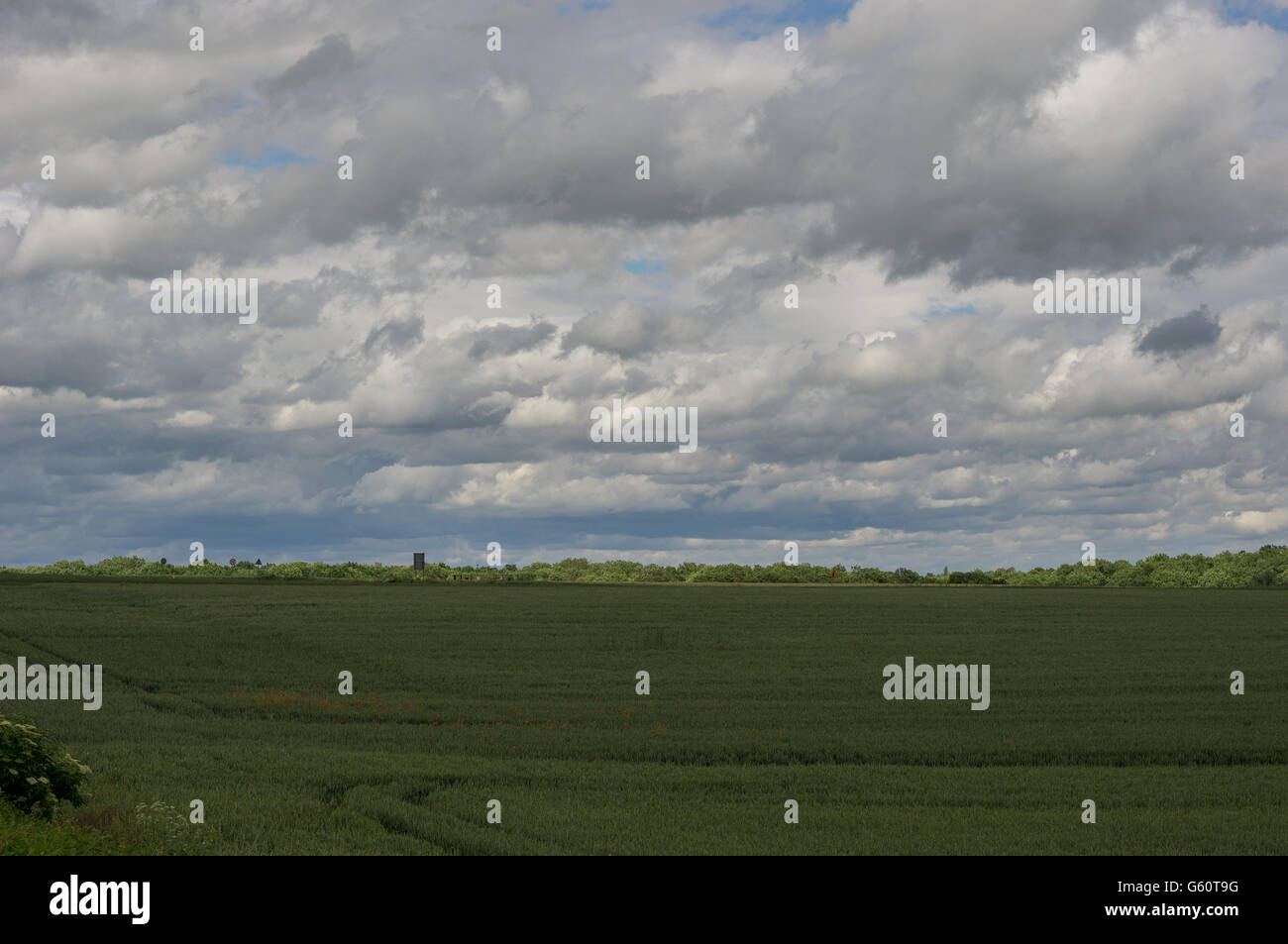 Gewitterhimmel über Felder der Getreideanbau in June Lower Silesia Polen Stockfoto