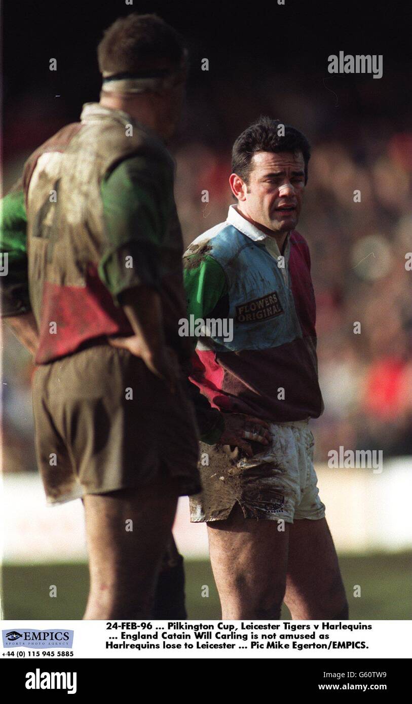 24-FEB-96. Pilkington Cup - Leicester Tigers / Harlequins. Der englische Kapitän will Carling ist nicht amüsiert, da Harlekine gegen Leicester verlieren Stockfoto