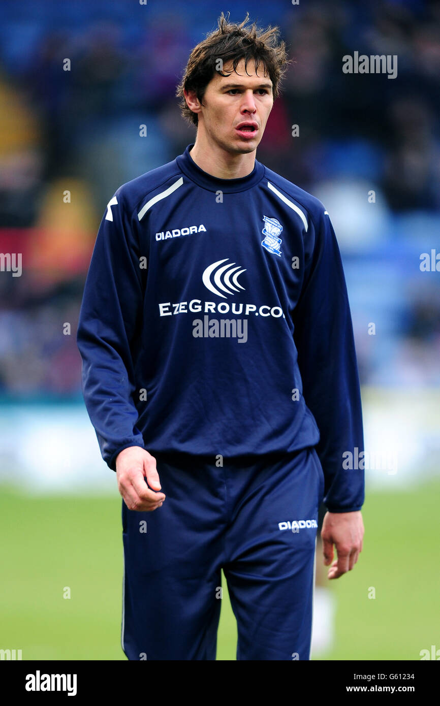 Fußball - npower Football League Championship - Crystal Palace gegen Birmingham City - Selhurst Park. Nikola Zigic, Birmingham City. Stockfoto