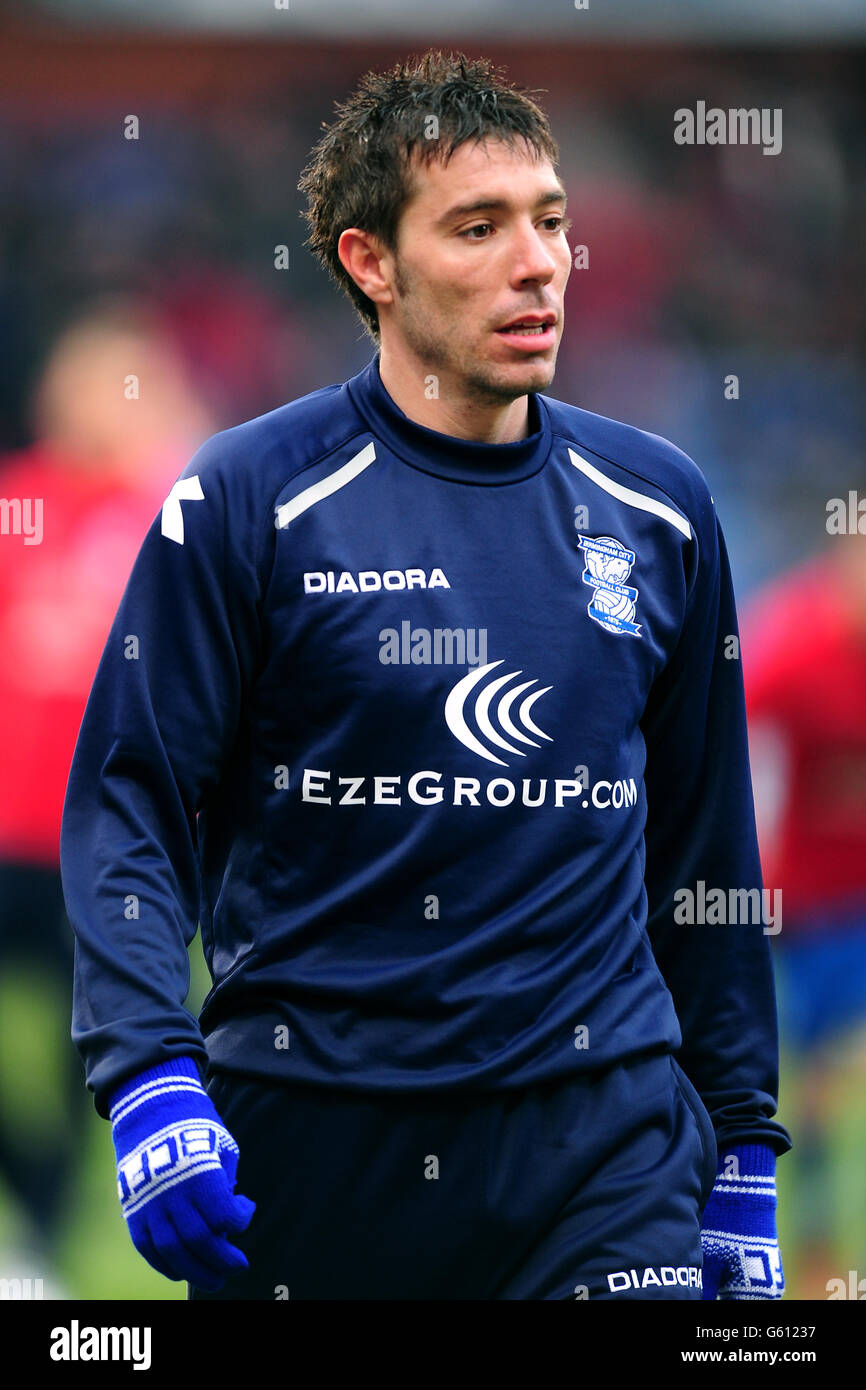 Fußball - Npower Football League Championship - Crystal Palace gegen Birmingham City - Selhurst Park Stockfoto
