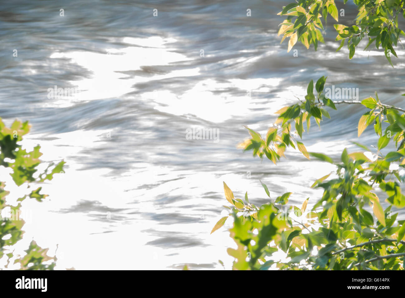 Fließende Flusswasser umrahmt von Zweigen und Blättern Stockfoto