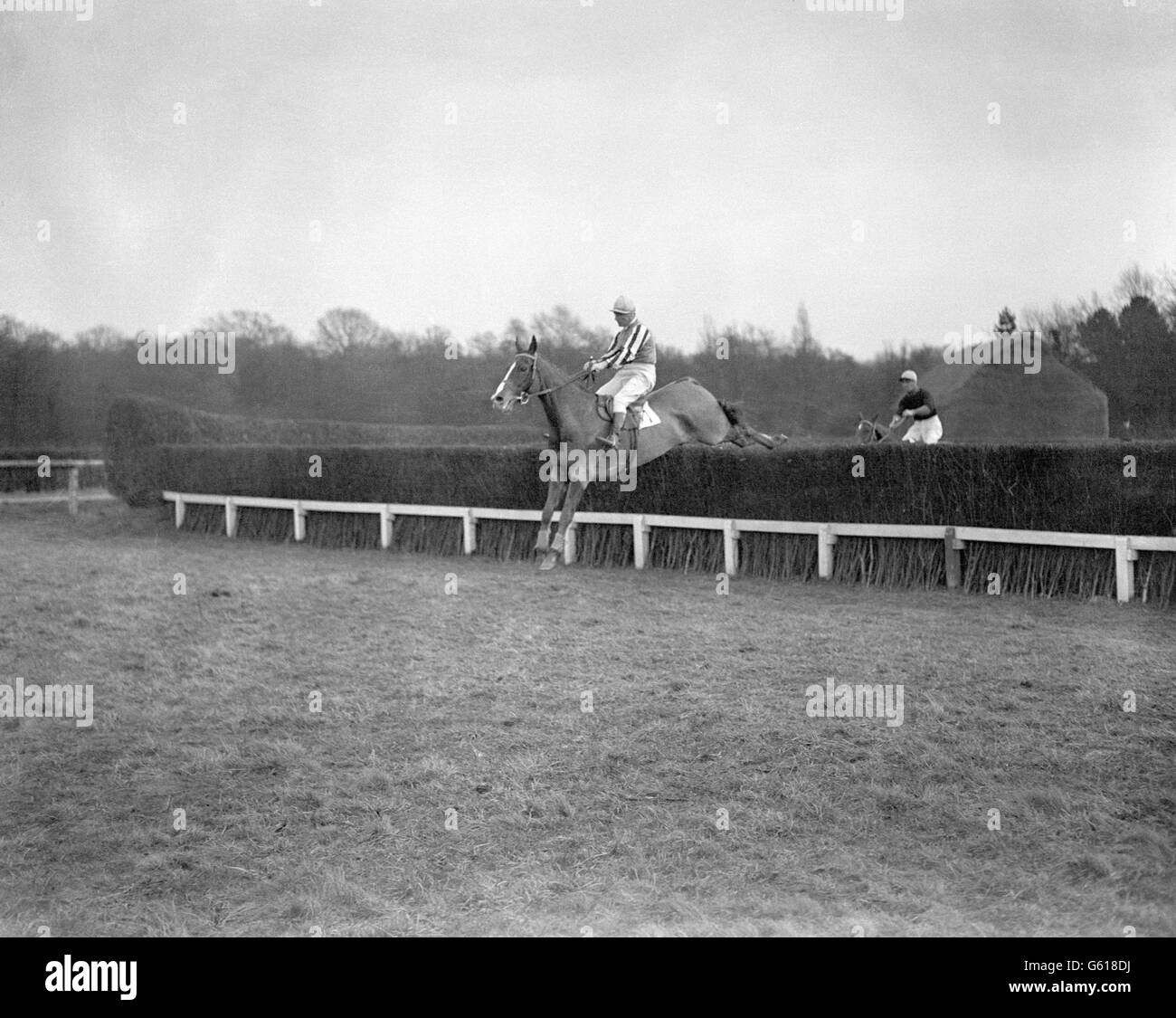 Pferderennen Sie - Buckhurst Handicap Steeplechase - Lingfield Park Rennbahn Stockfoto