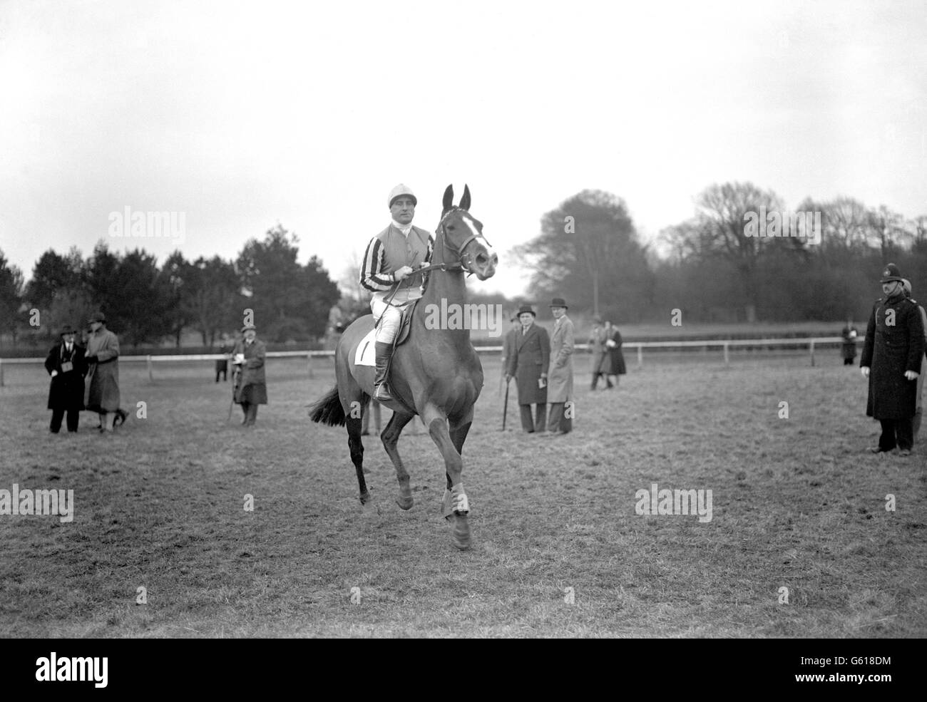 Pferderennen Sie - Buckhurst Handicap Steeplechase - Lingfield Park Rennbahn Stockfoto